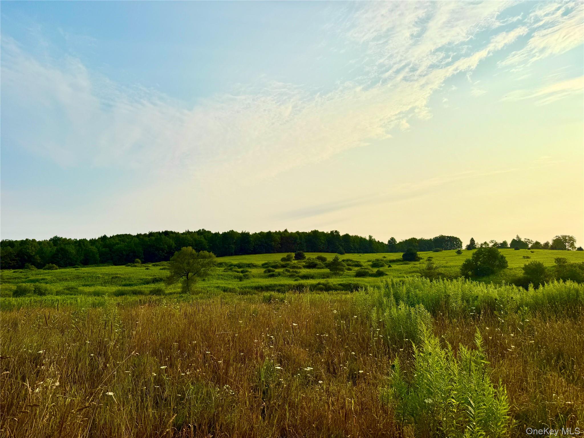 299 WALT PHILLIPS – For Sale photo 5
