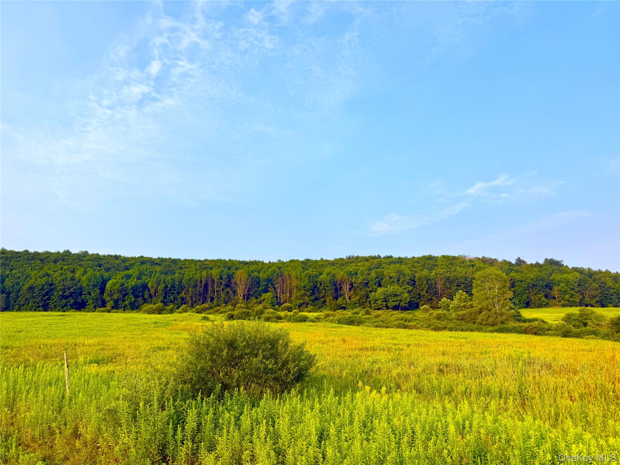 299 WALT PHILLIPS – For Sale