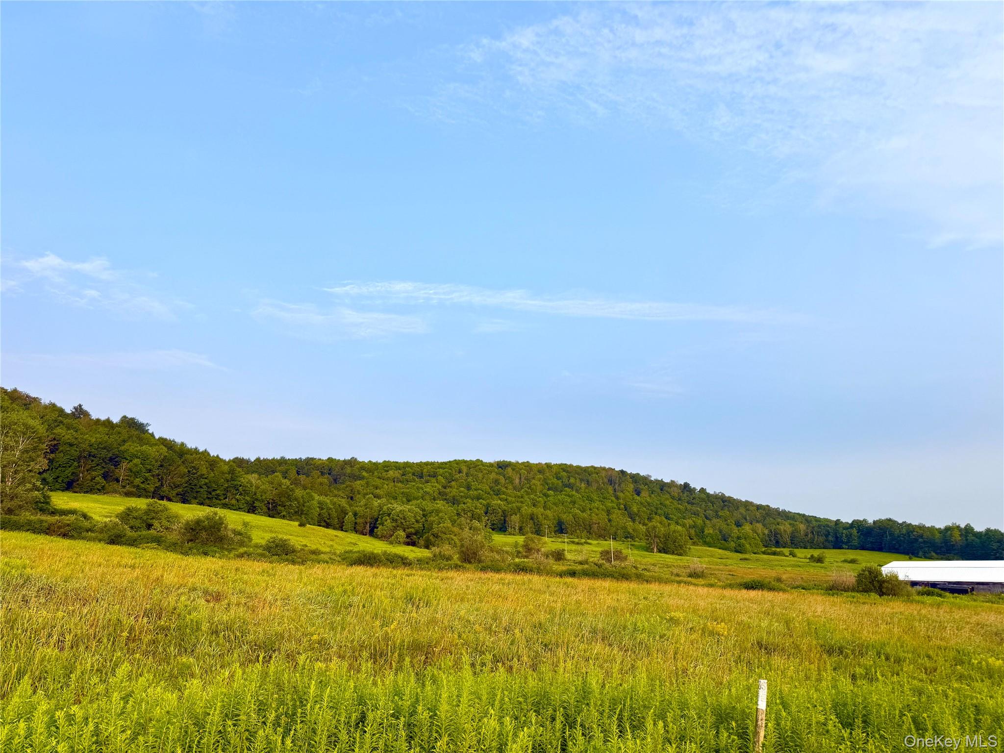 299 WALT PHILLIPS – For Sale photo 3