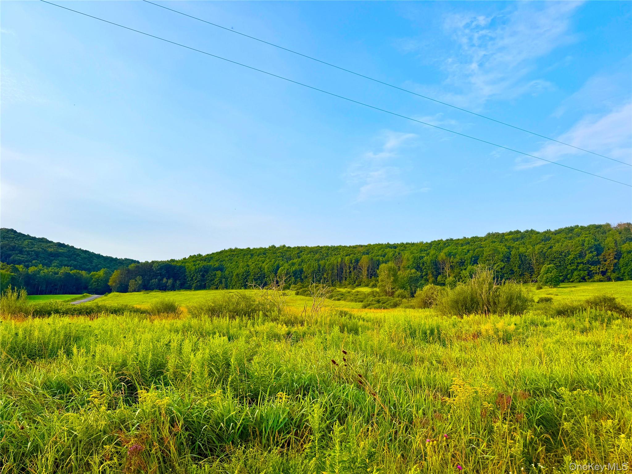 299 WALT PHILLIPS – For Sale photo 4