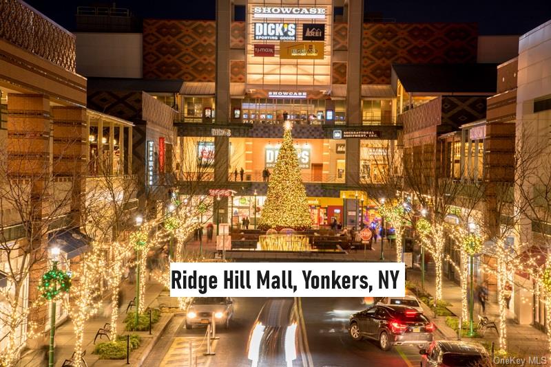 687 Bronx River Road, Unit 1J photo 38