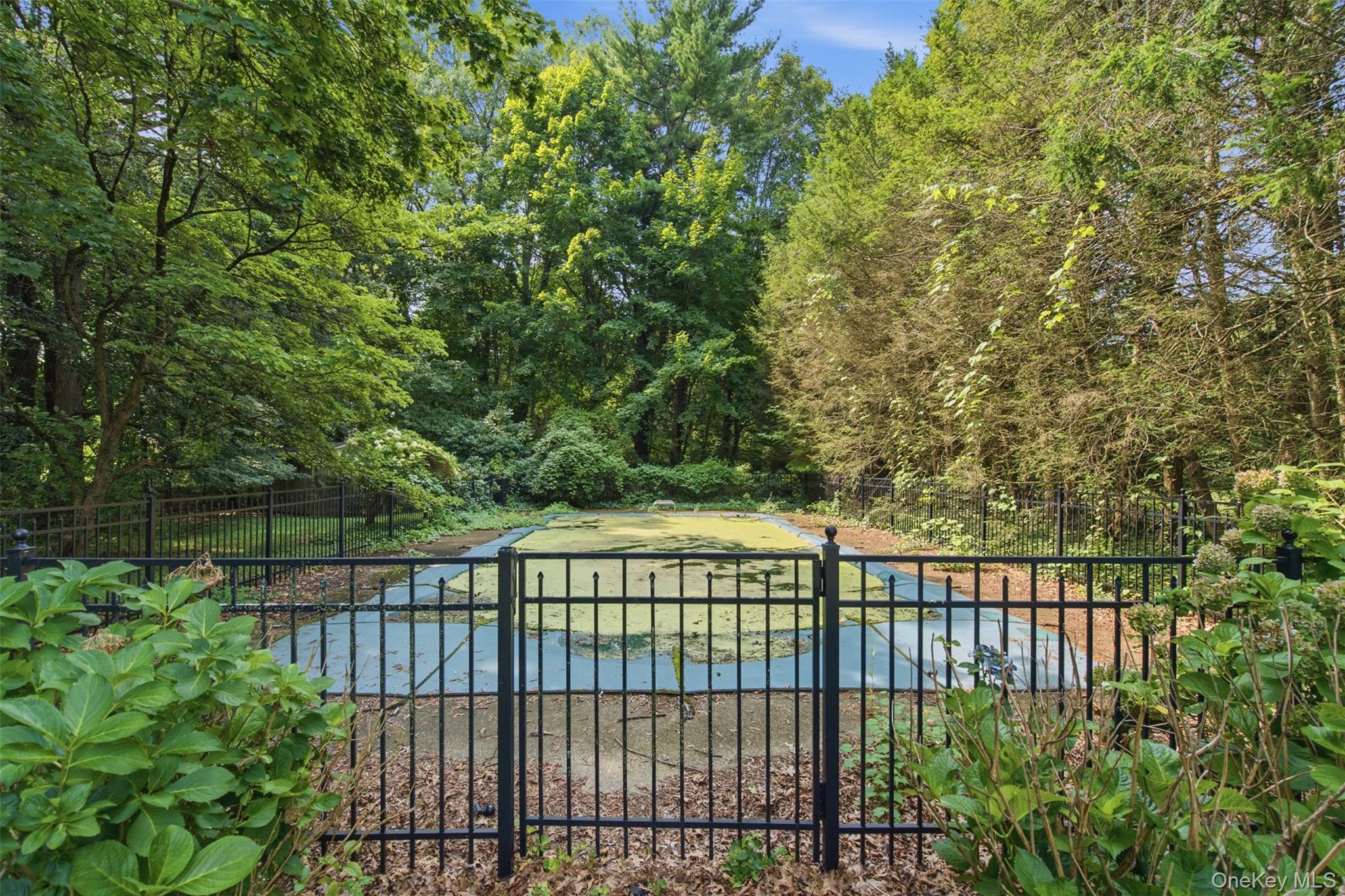 897 Ripley Lane – For Sale photo 37