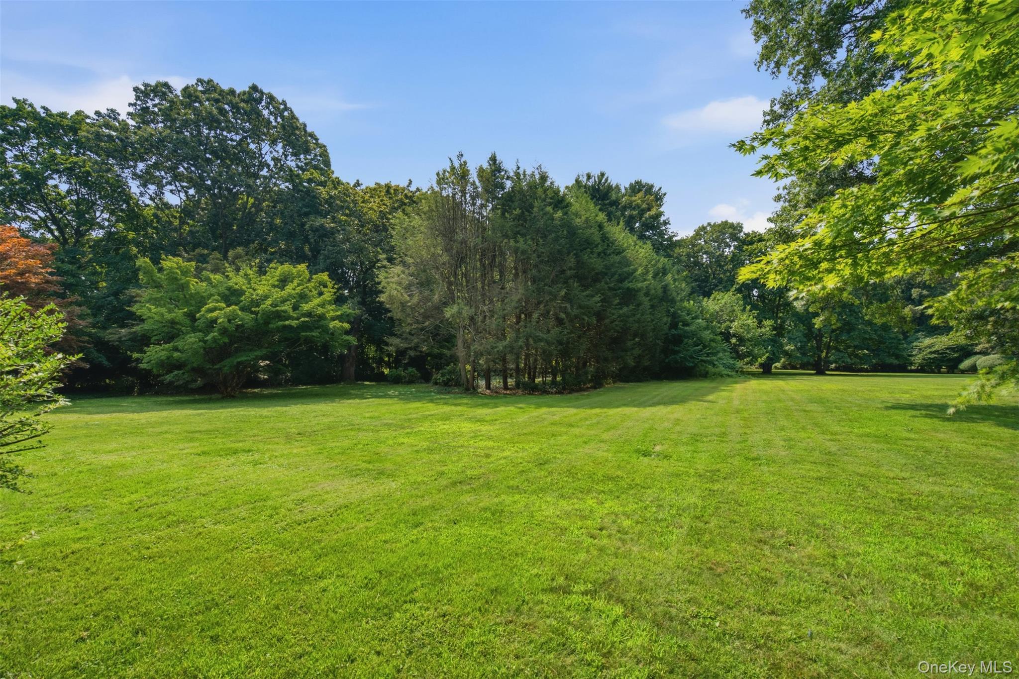 897 Ripley Lane – For Sale photo 38
