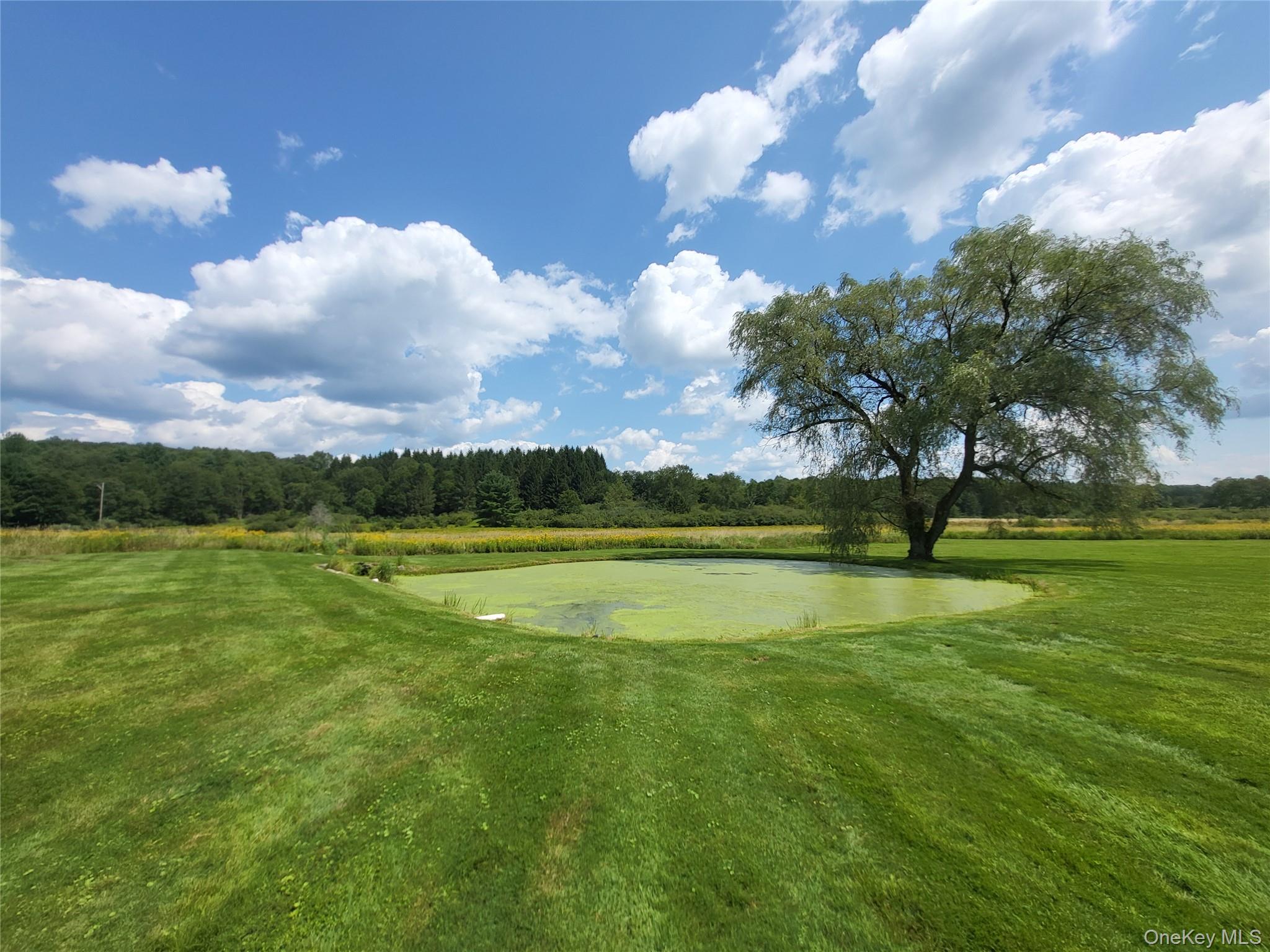 290 Behr Road – For Sale photo 8
