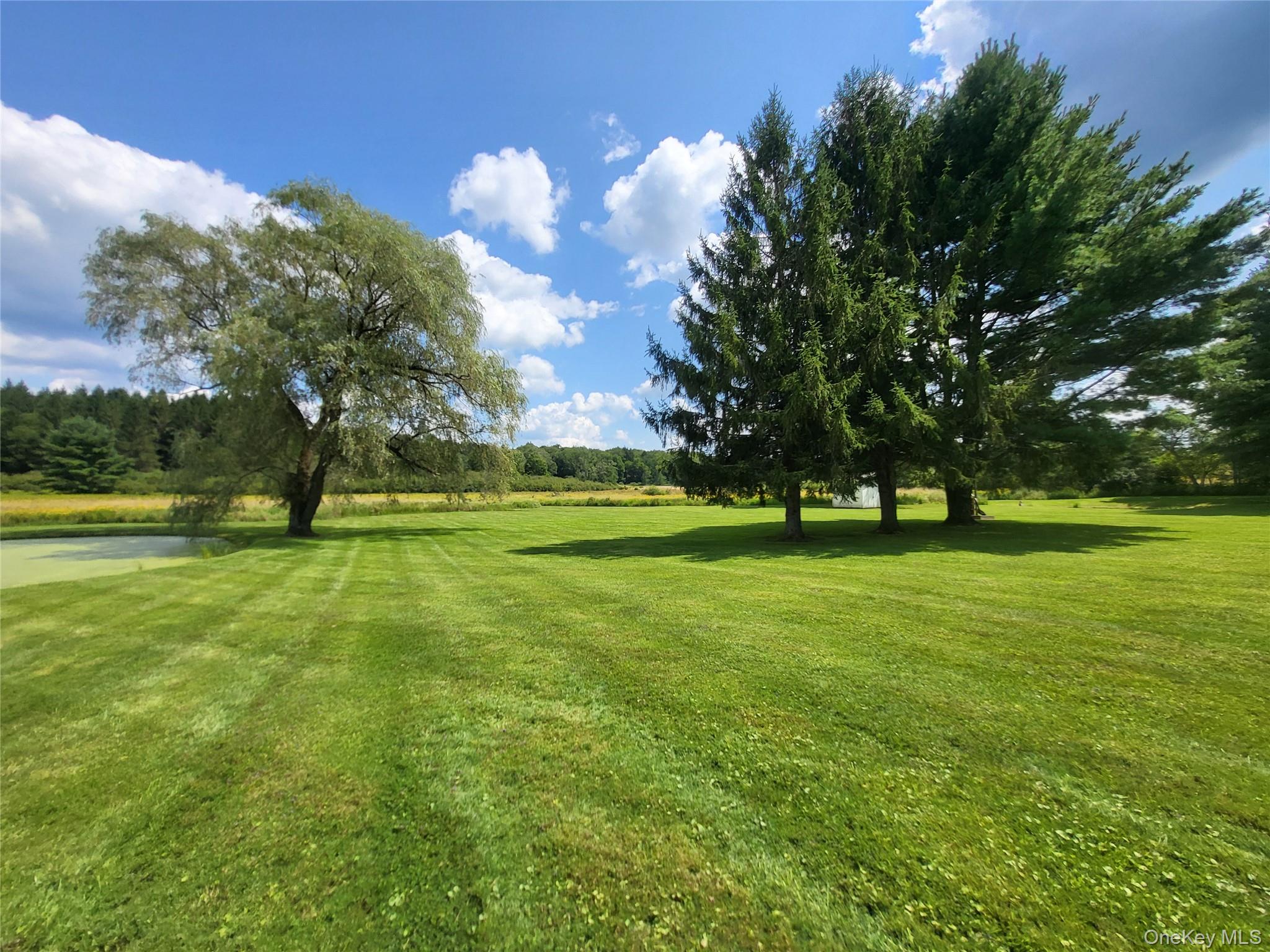 290 Behr Road – For Sale photo 35