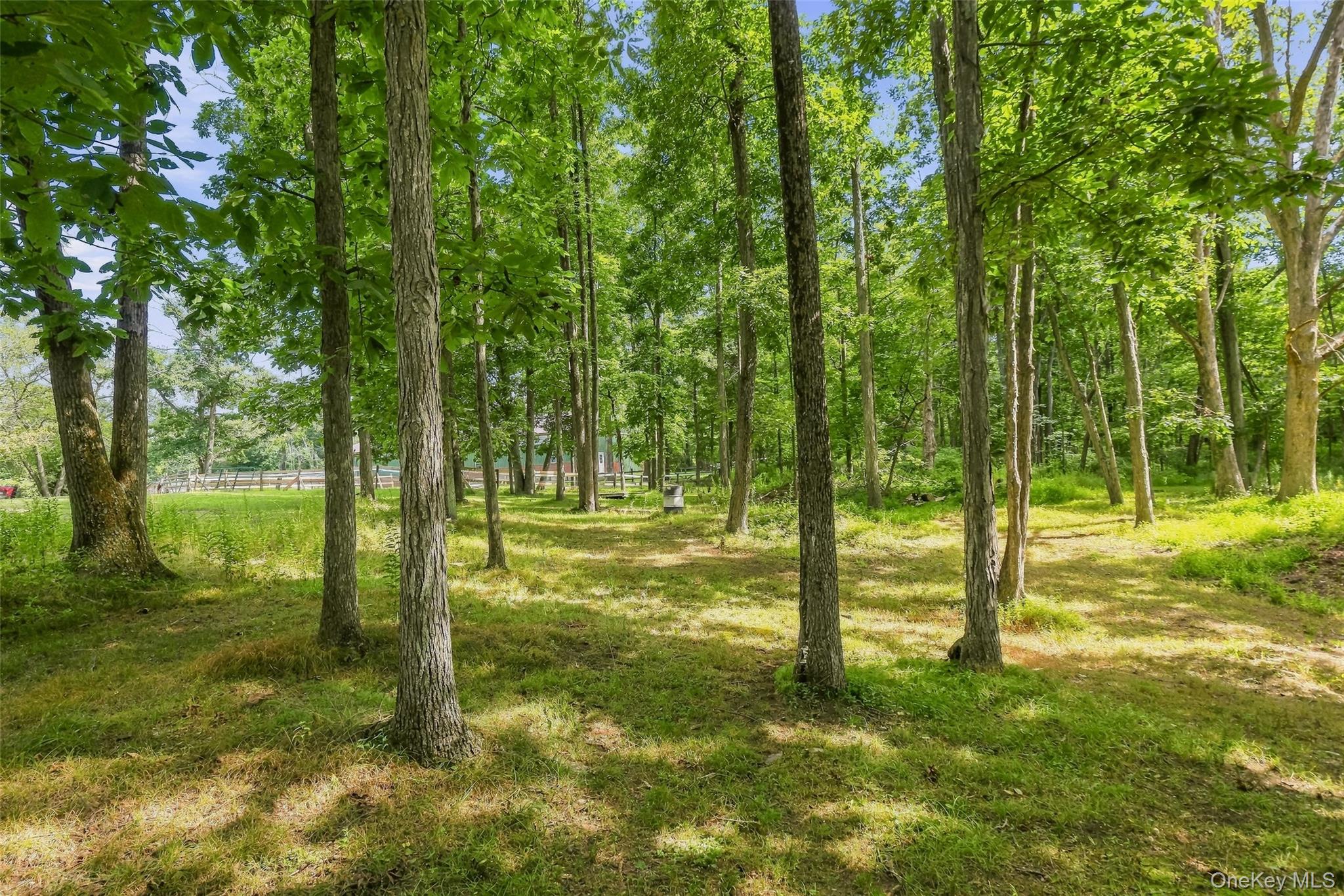 2536 Wingdale Mtn Road – For Sale photo 27
