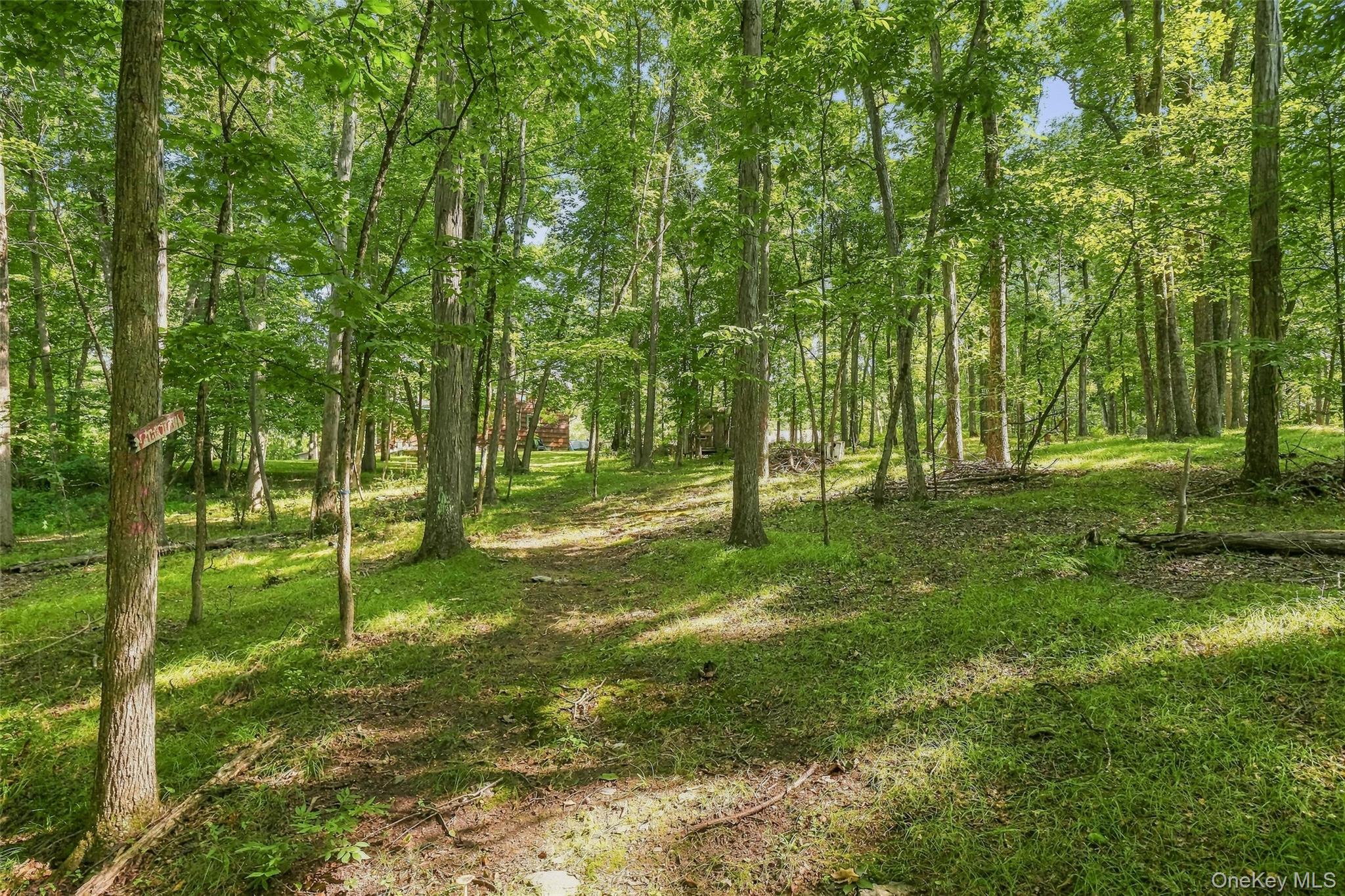 2536 Wingdale Mtn Road – For Sale photo 30