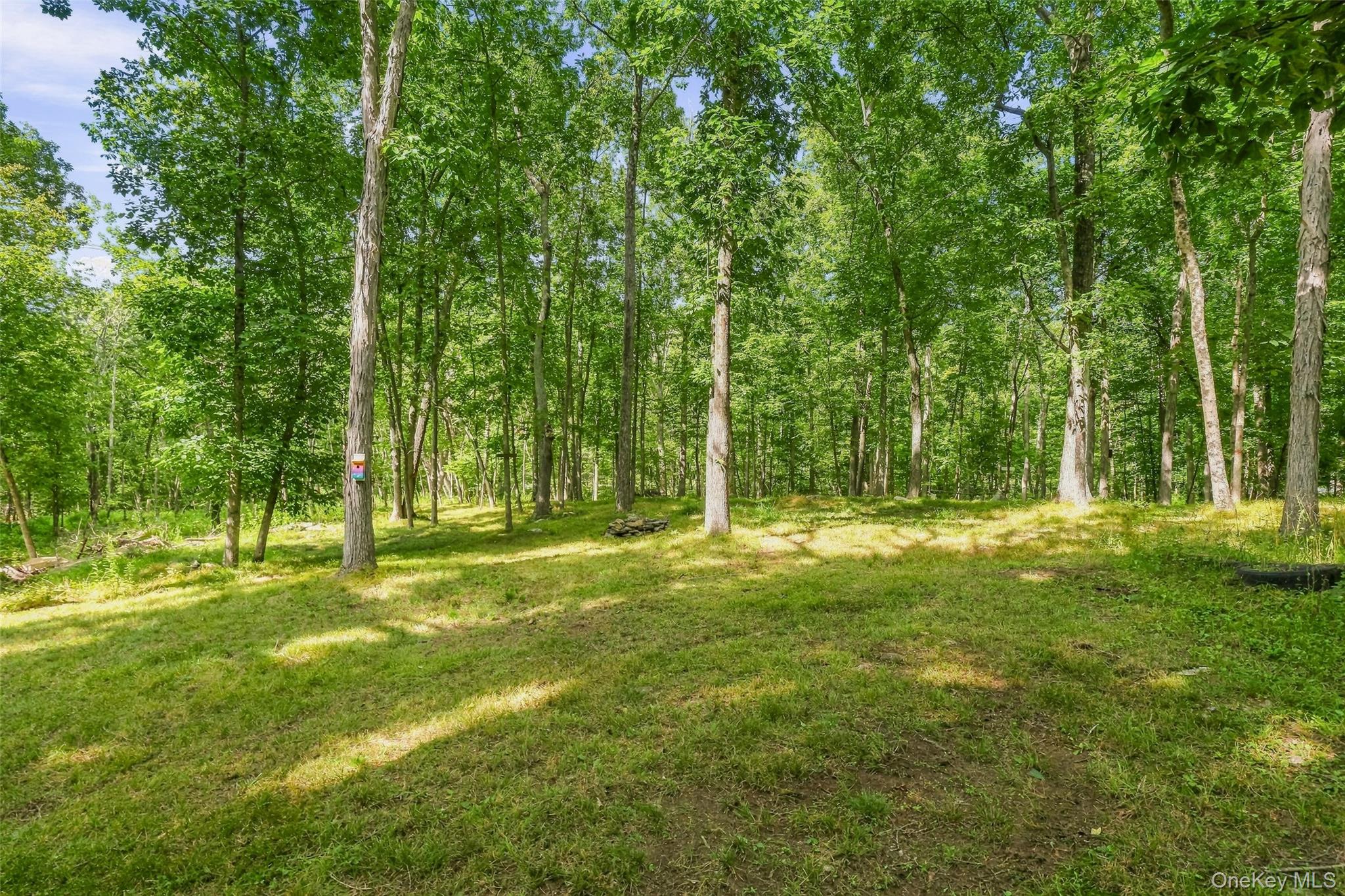 2536 Wingdale Mtn Road – For Sale photo 28
