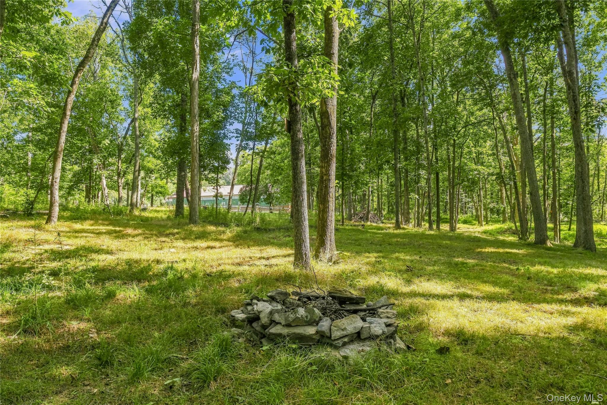 2536 Wingdale Mtn Road – For Sale photo 29