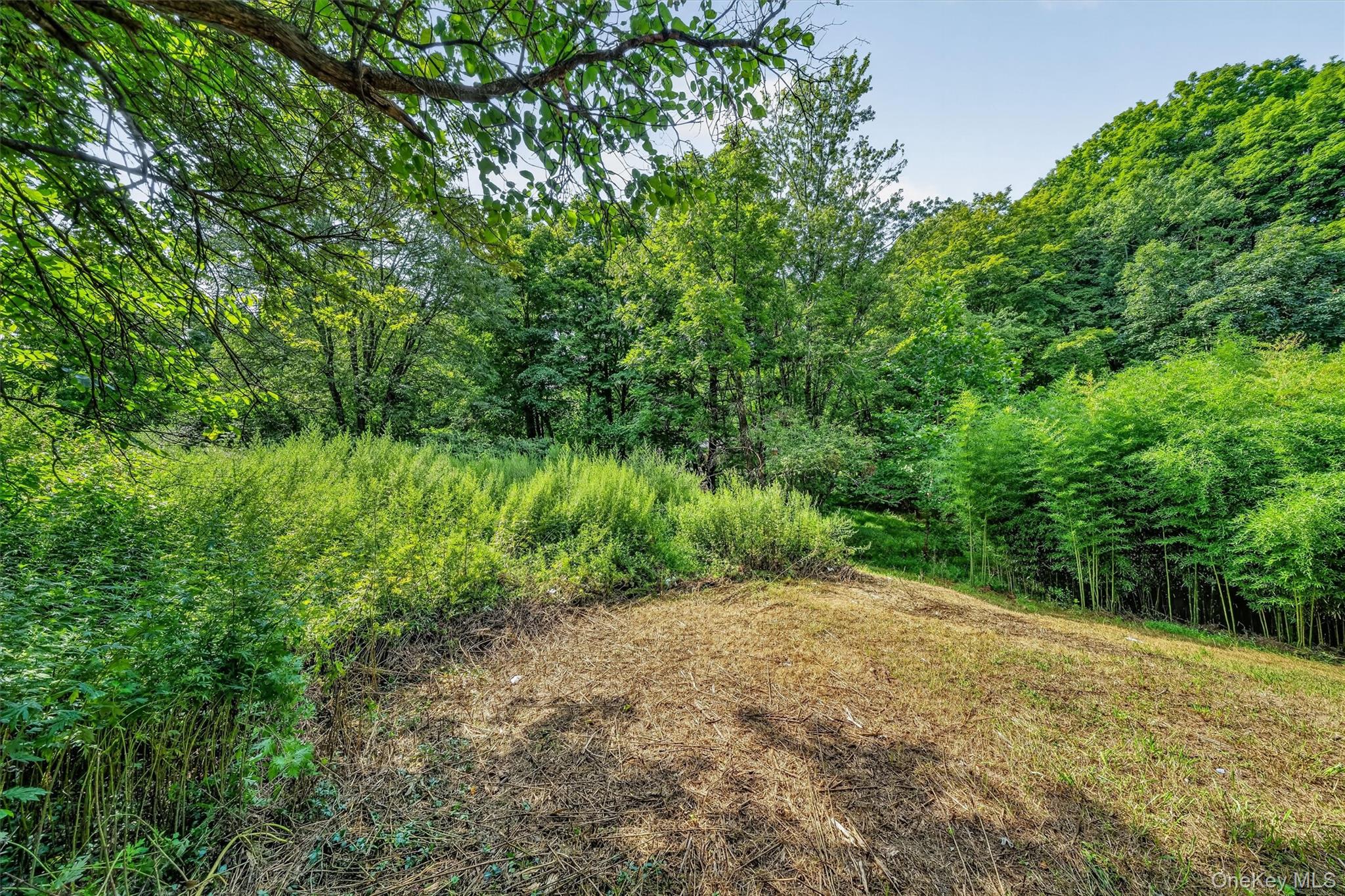 61 Main Street – For Sale photo 32