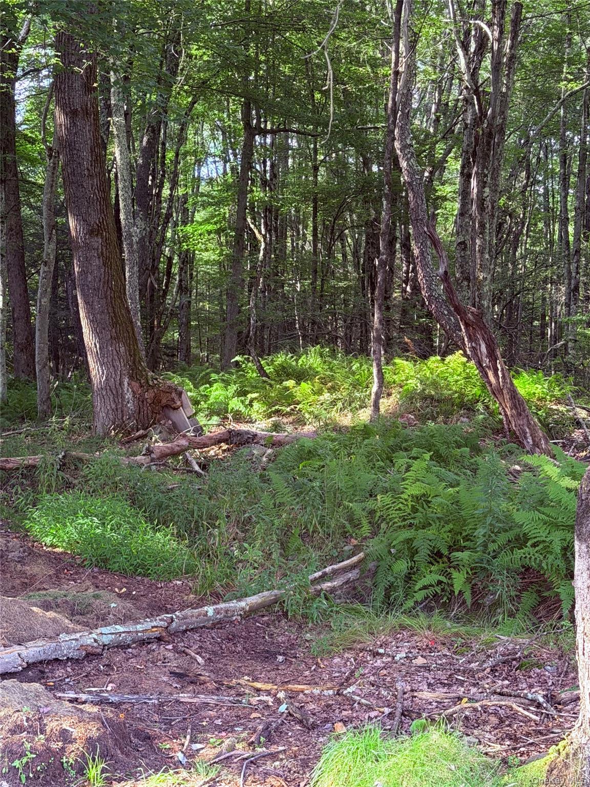 412 Brown Road – For Sale photo 25