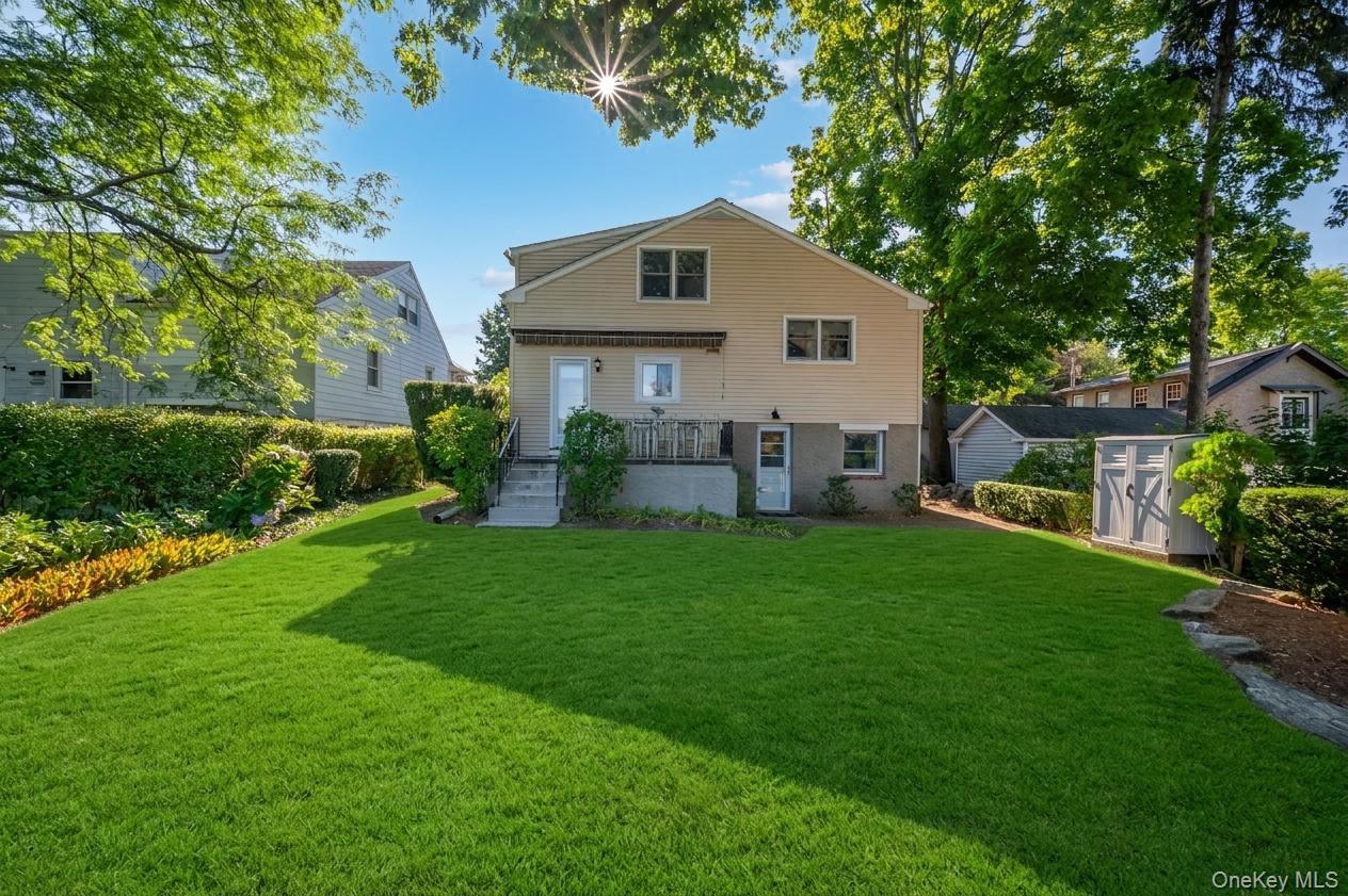 71 Ewart Street – For Rent photo 7