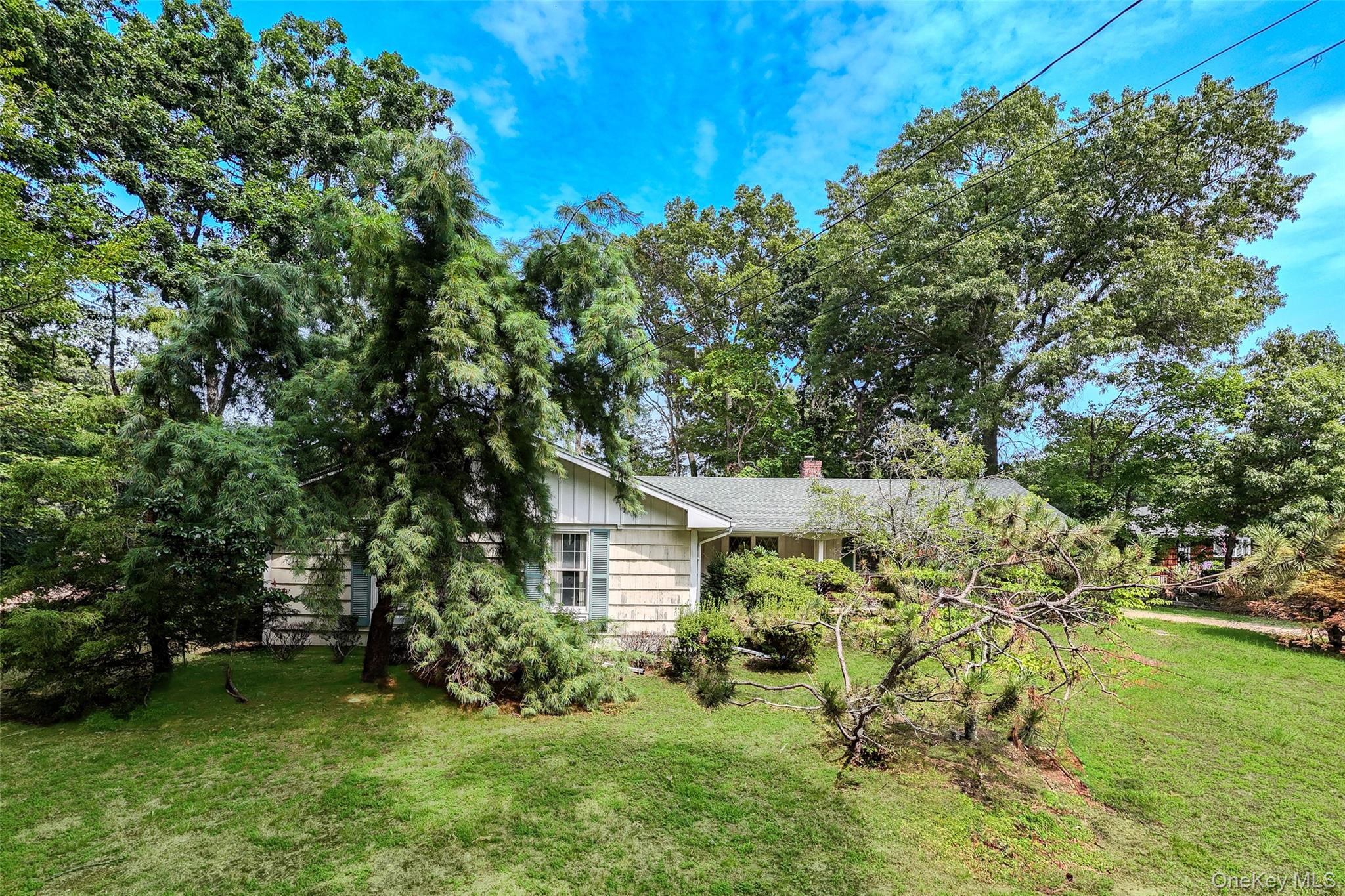 1 Briar Court – For Sale photo 44