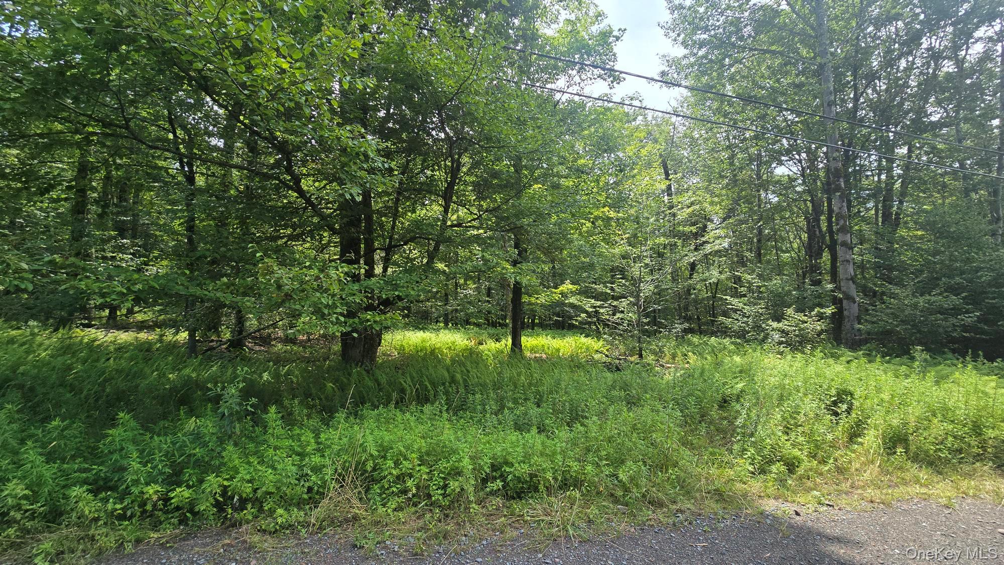 Knickerbocker Road – For Sale photo 4