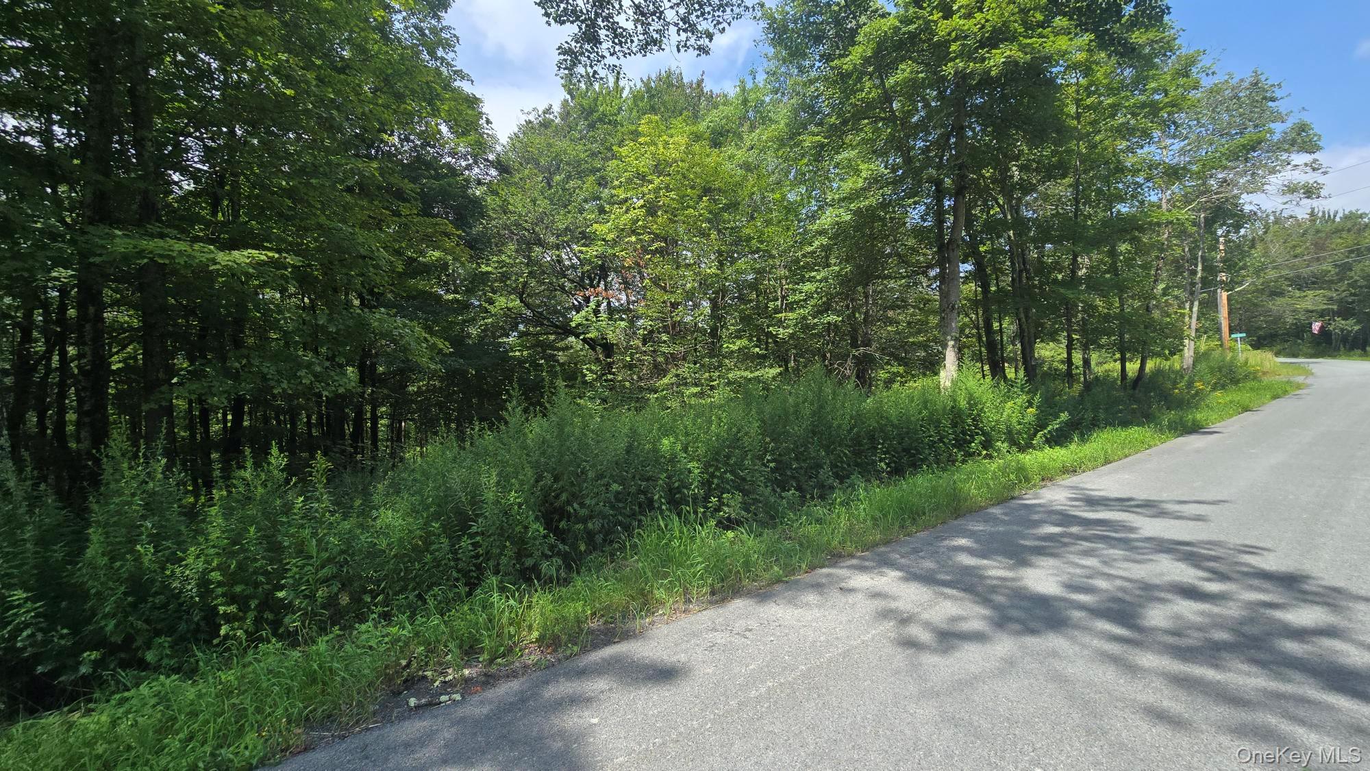 Knickerbocker Road – For Sale photo 2