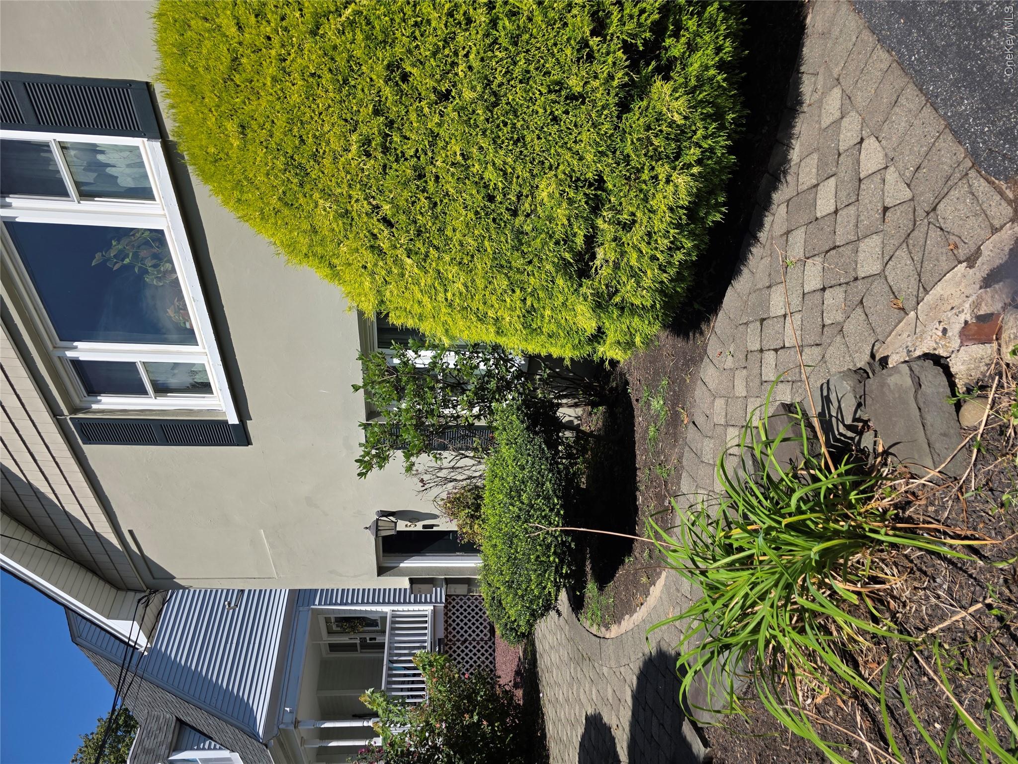 50 Elysian Avenue – For Sale photo 2