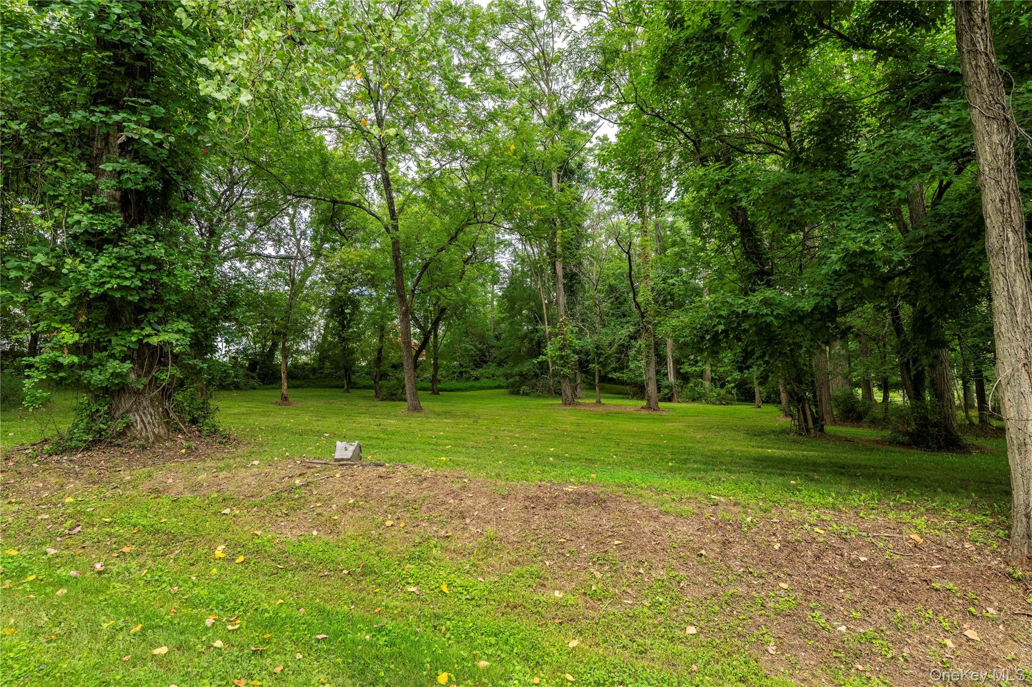 166 Ulster Landing Road – For Sale photo 19