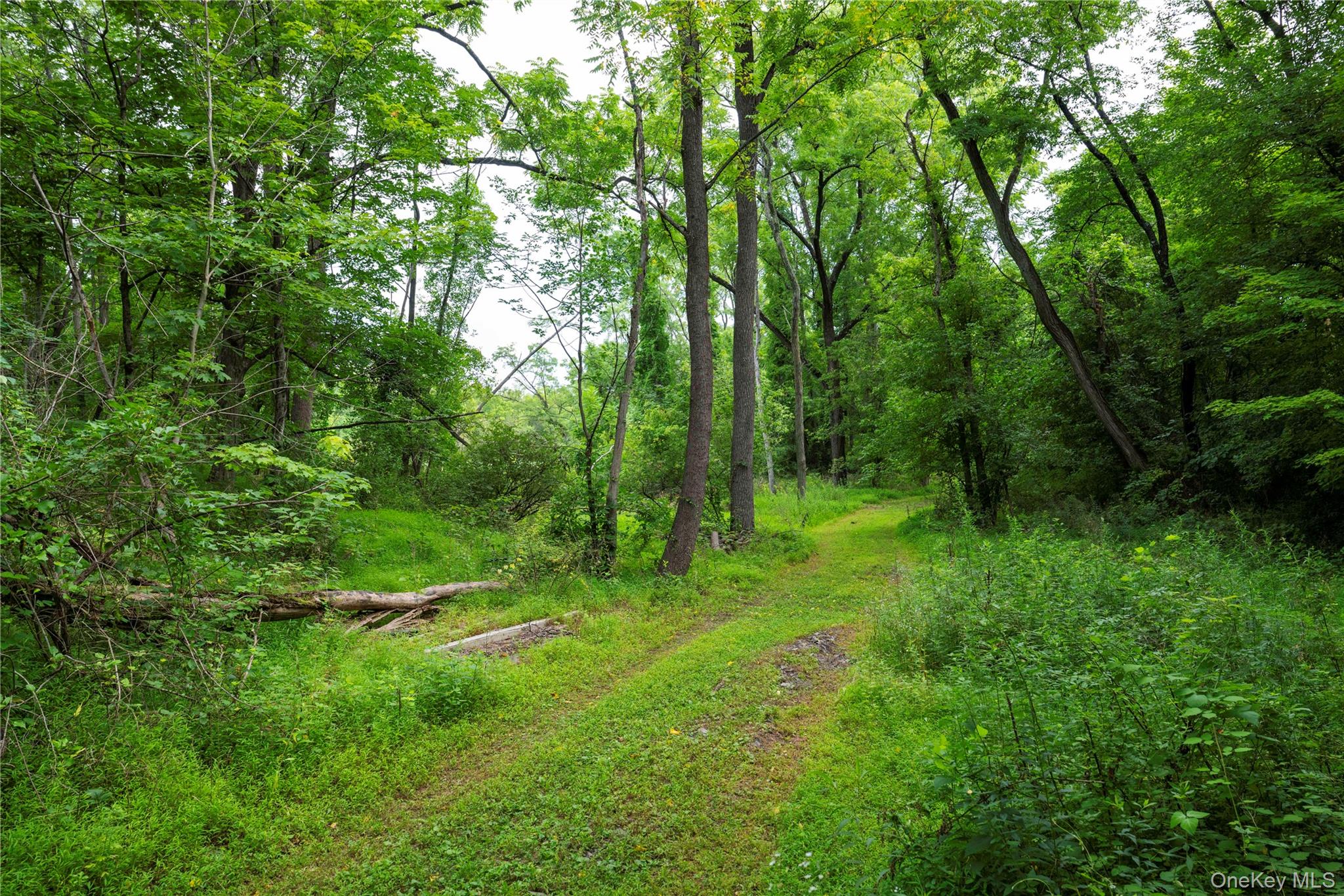 166 Ulster Landing Road – For Sale photo 14