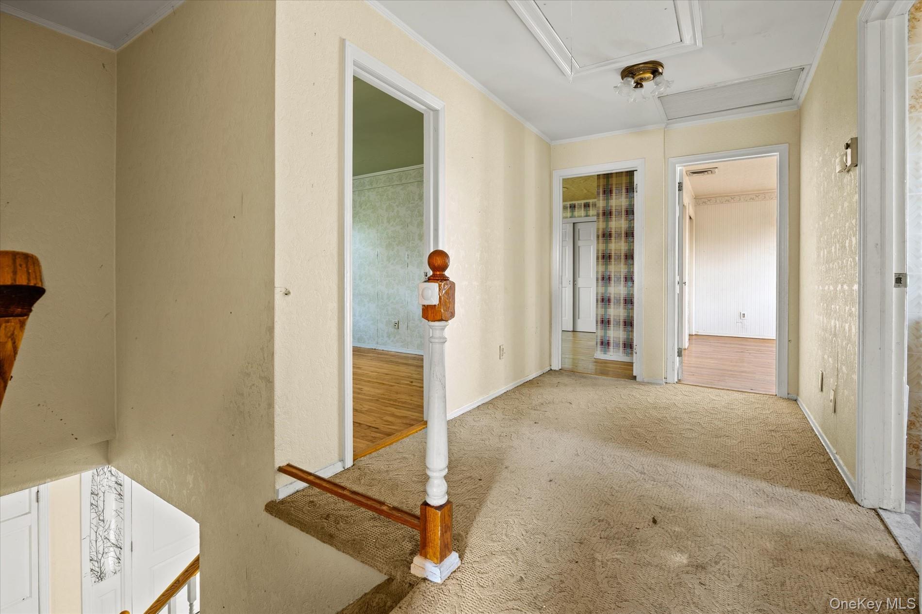251 Perkins Avenue – For Sale photo 22