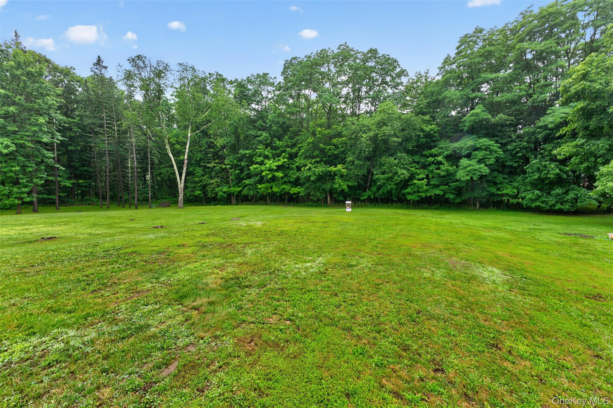 329 Route 27 – For Sale photo 40
