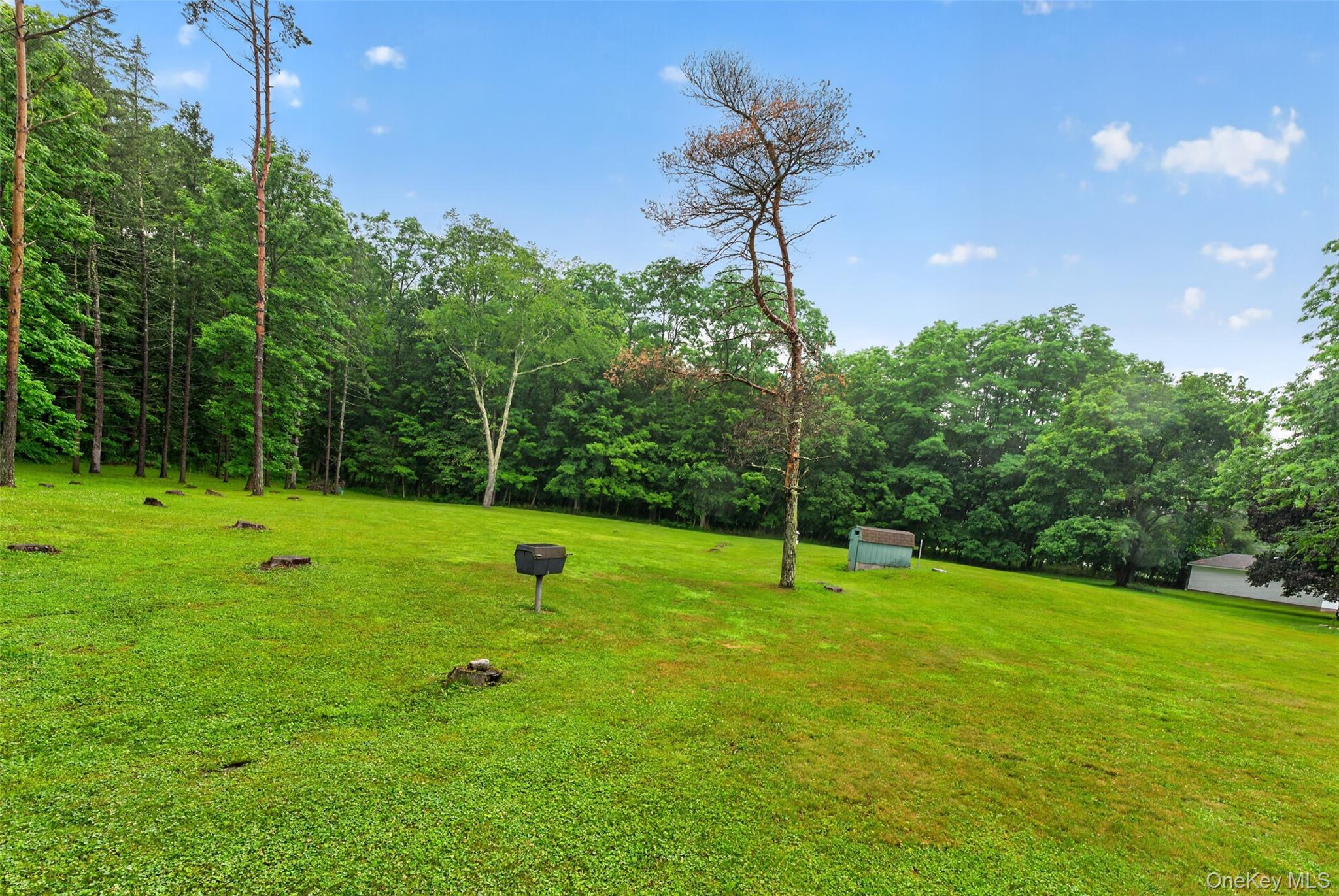 329 Route 27 – For Sale photo 39