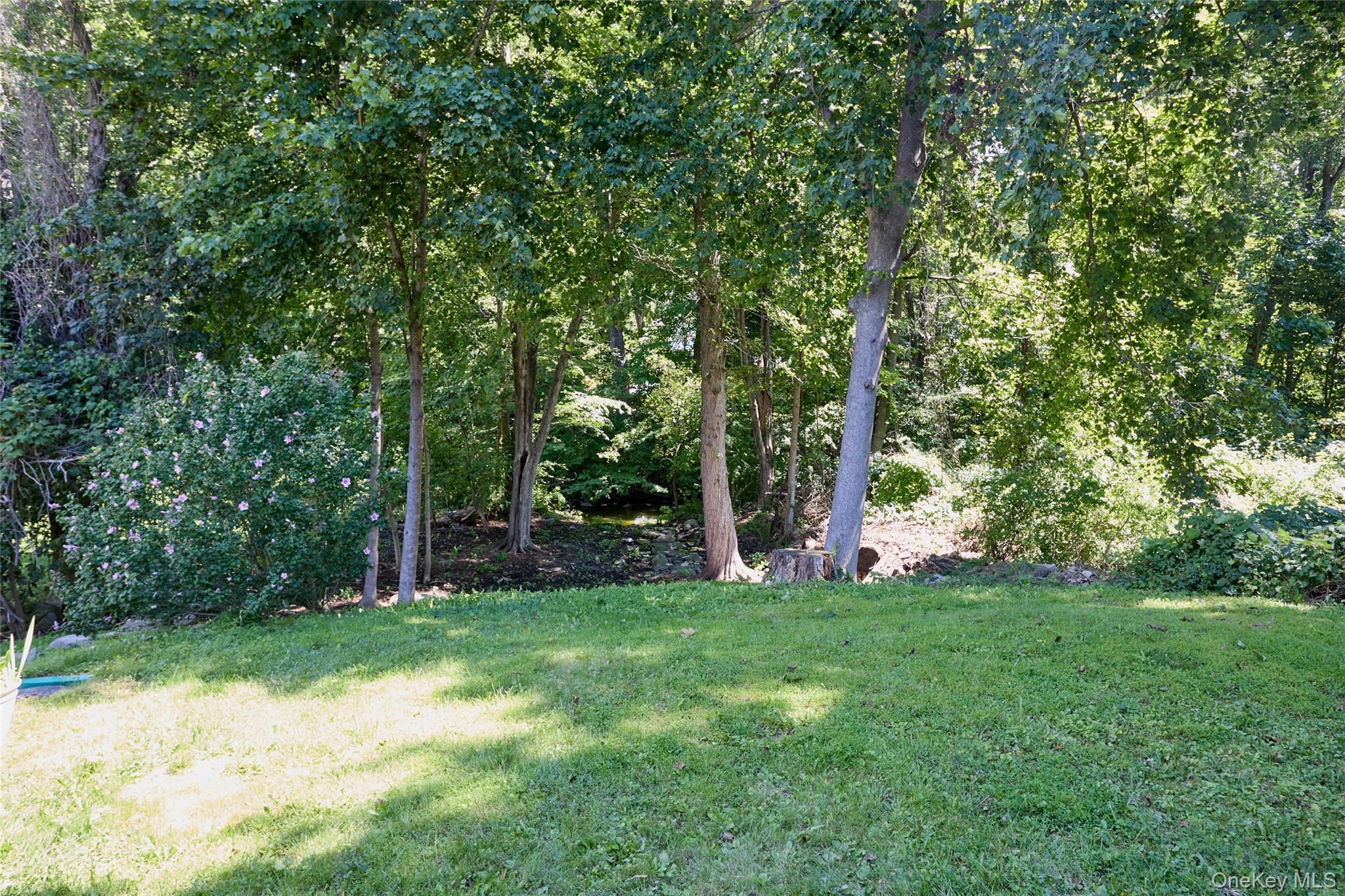 28 Brewster Drive – For Sale photo 42