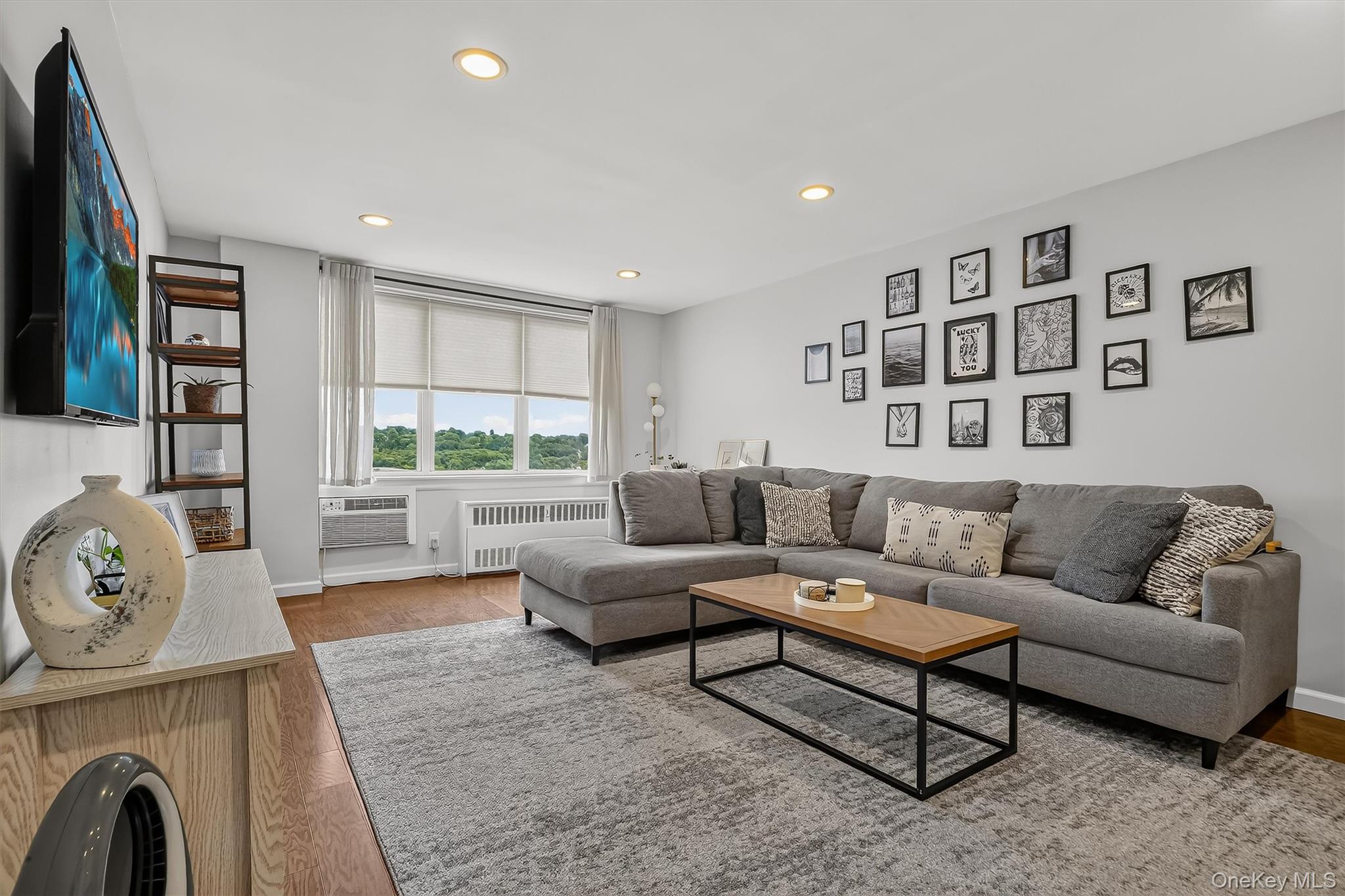 25 Franklin Avenue, Unit 6C photo 14