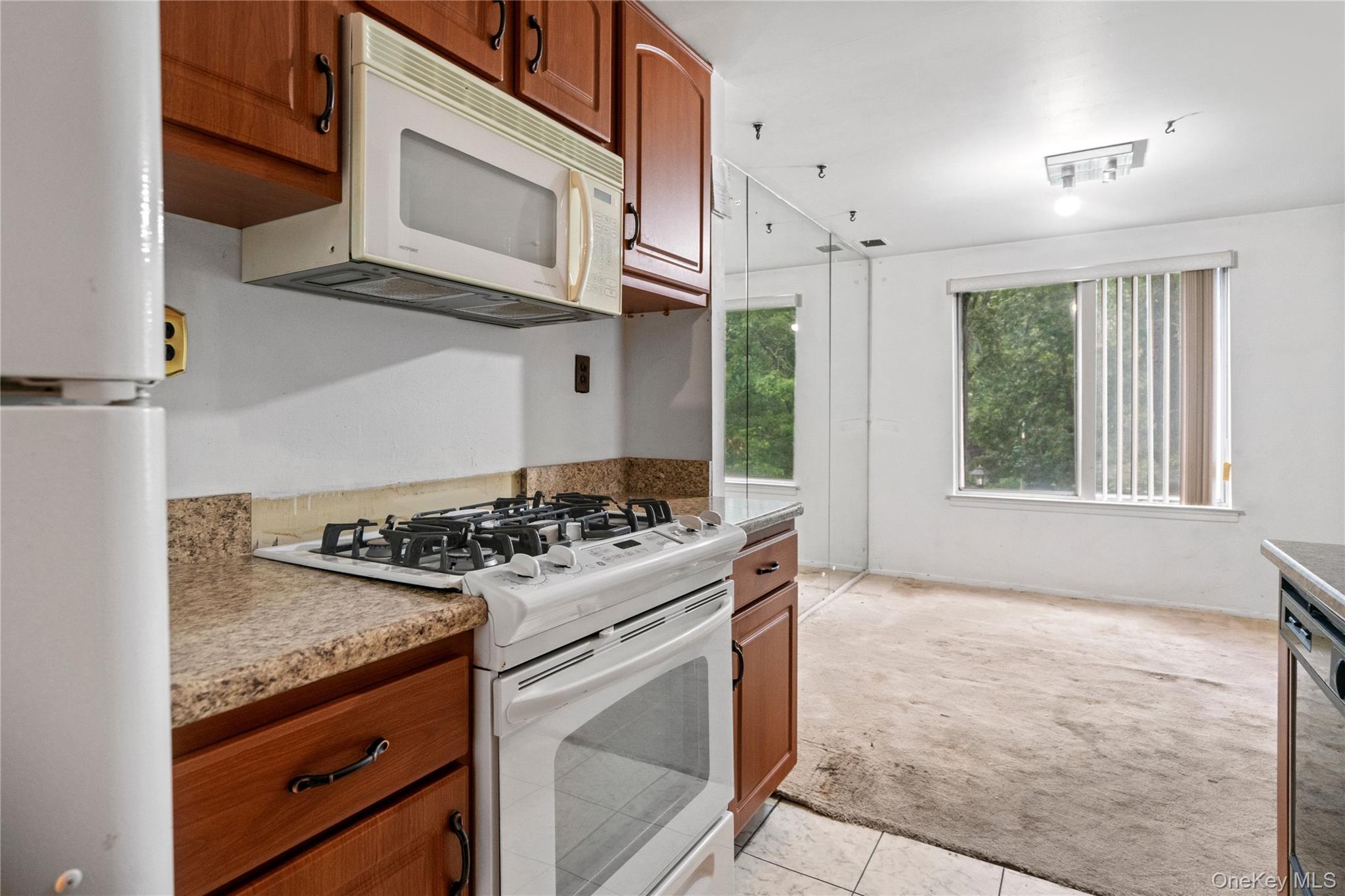 221 Sagamore Hills Drive, Unit 221 photo 14