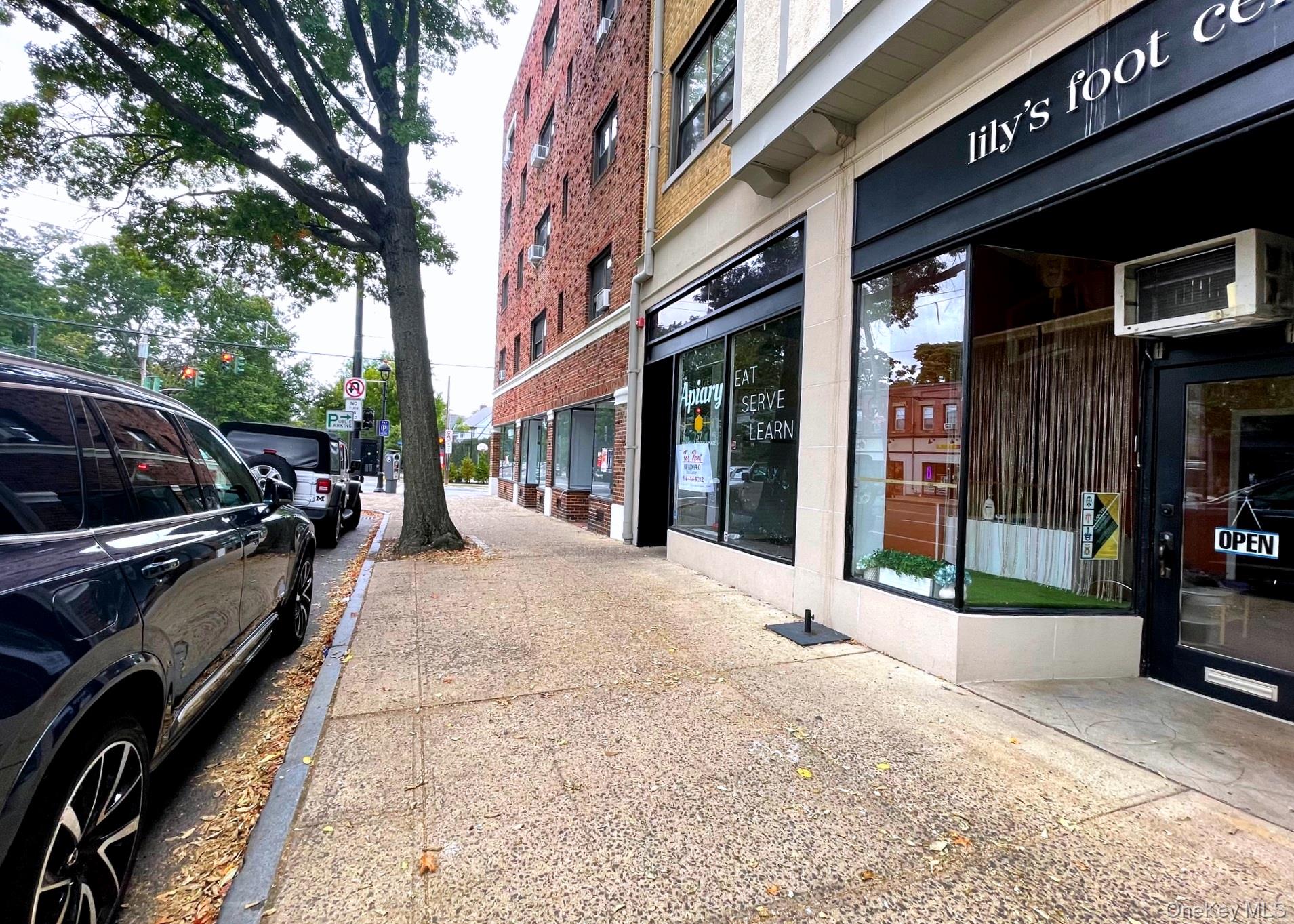 157 Larchmont Avenue, Unit Storefront photo 3