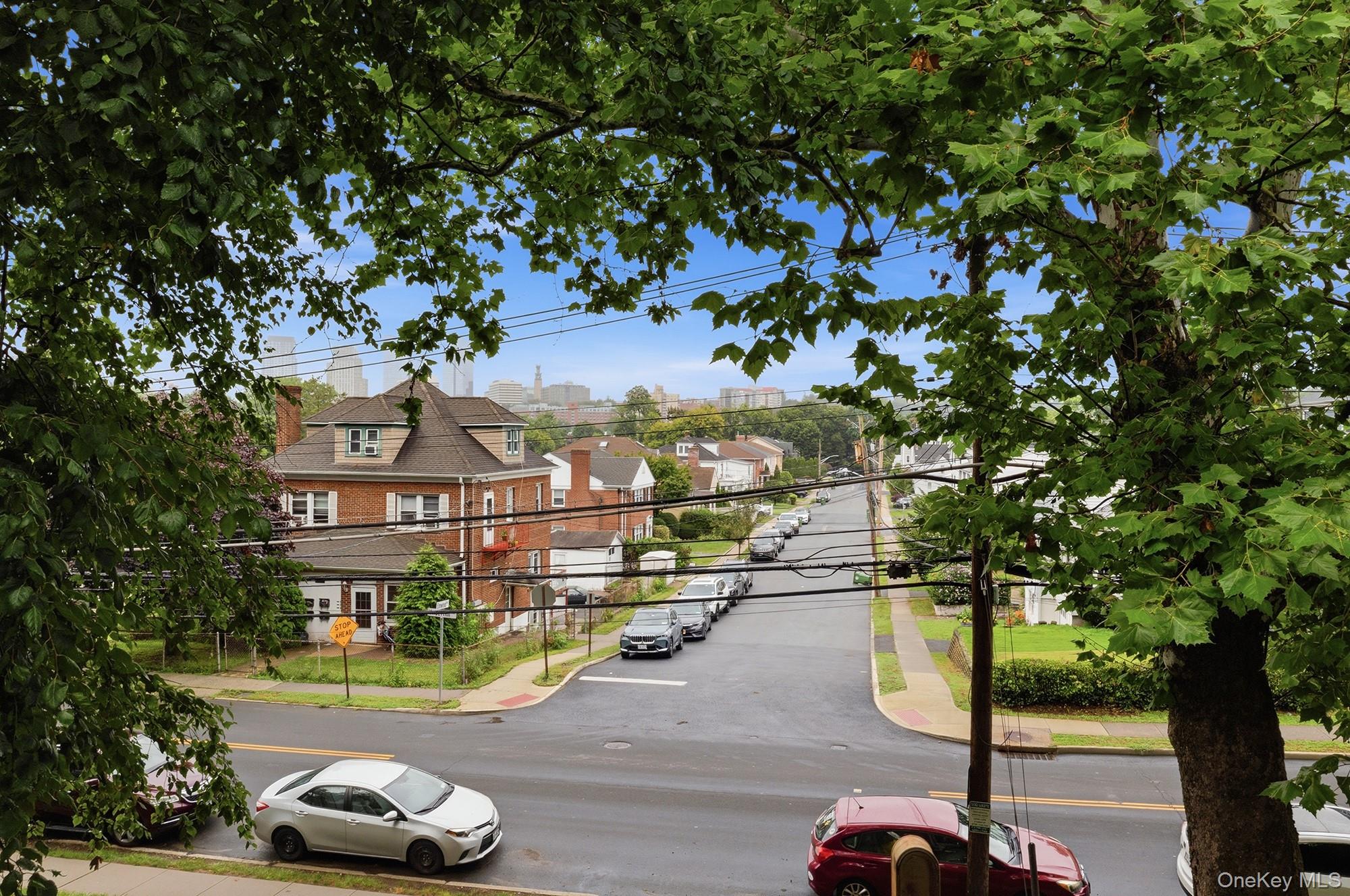 154 Underhill Avenue, Unit 2A photo 24