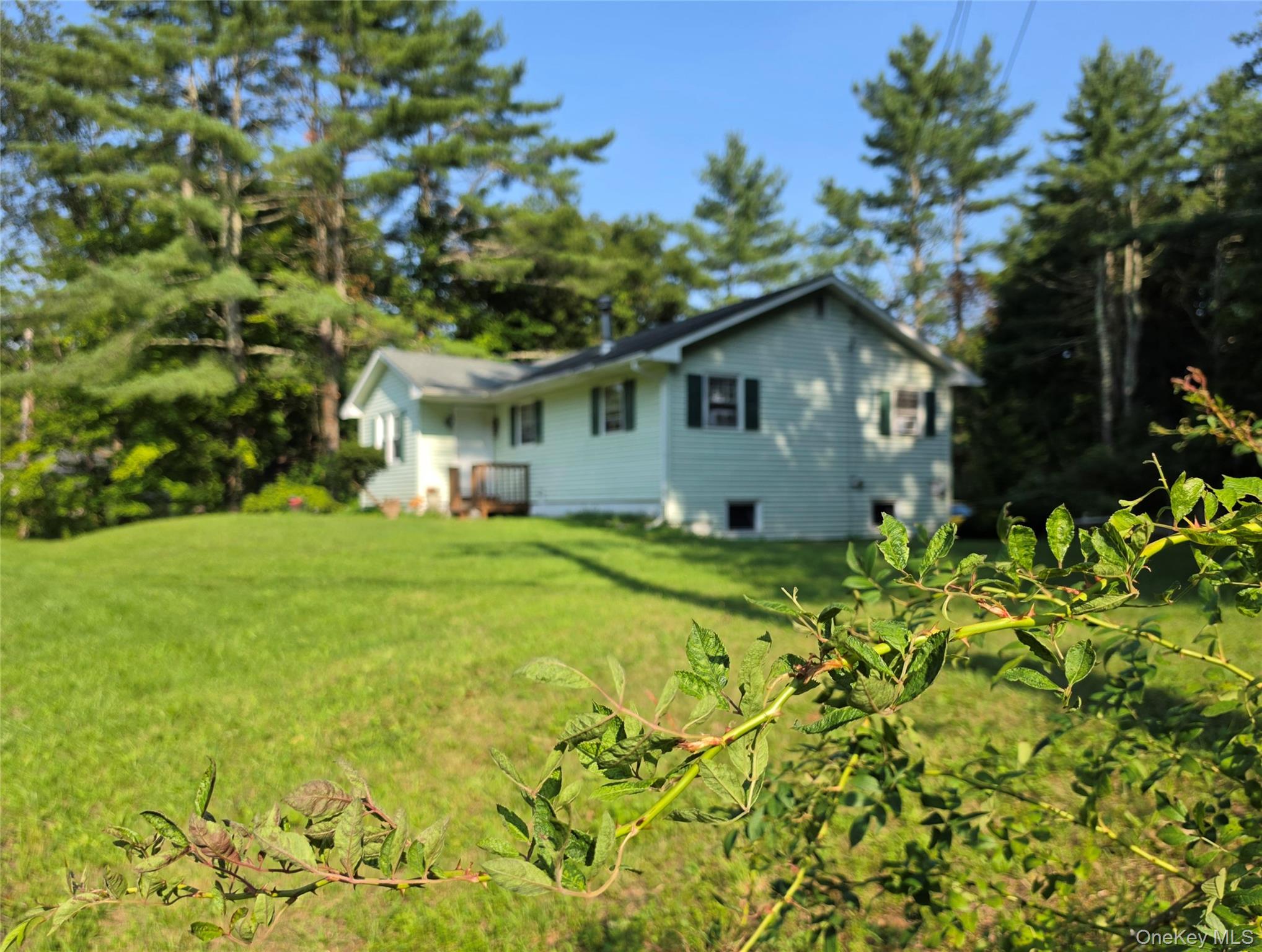 116 Summitville Road – For Sale photo 48
