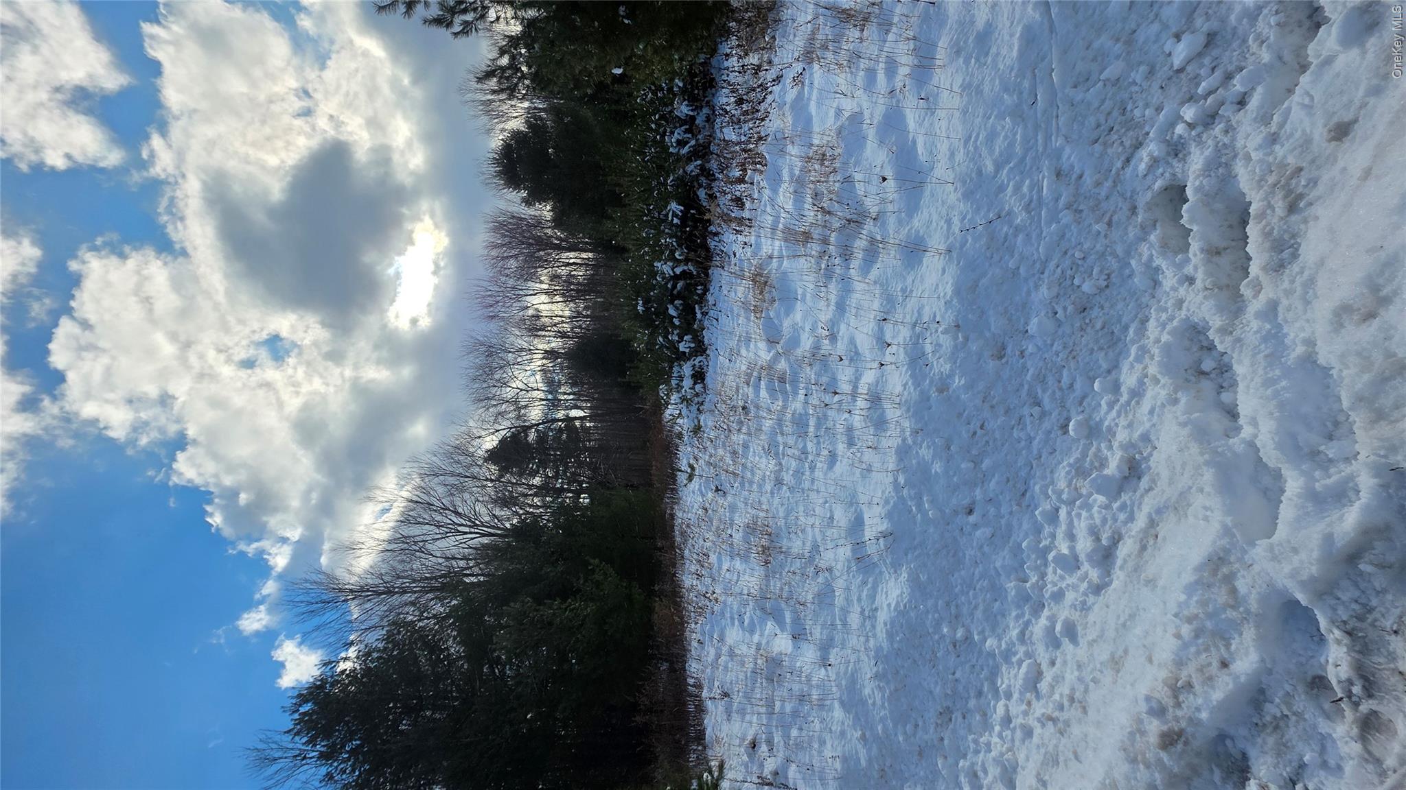 1487 Ulster Heights Road – For Sale photo 5