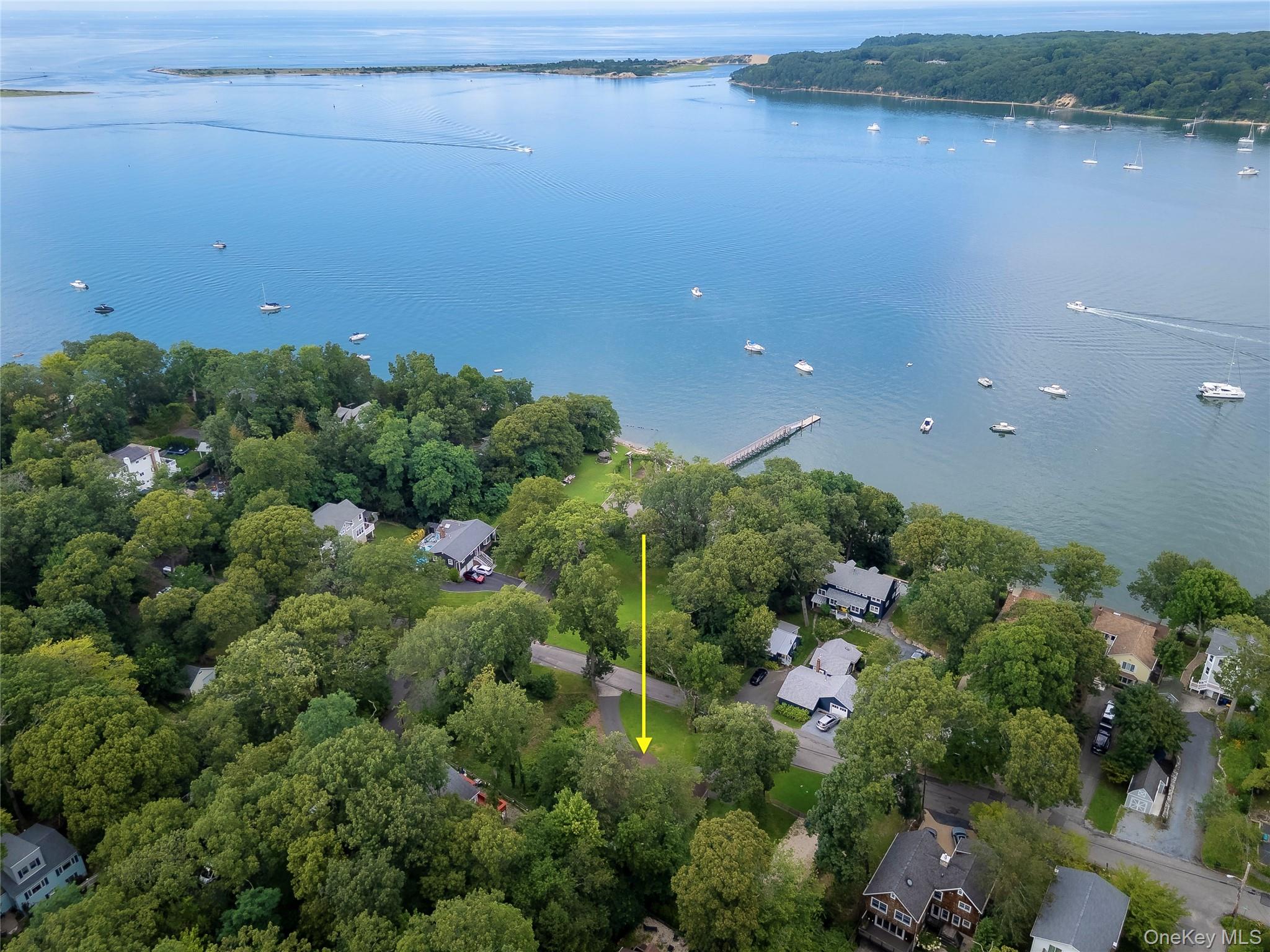 44 Chestnut Avenue – For Rent photo 2