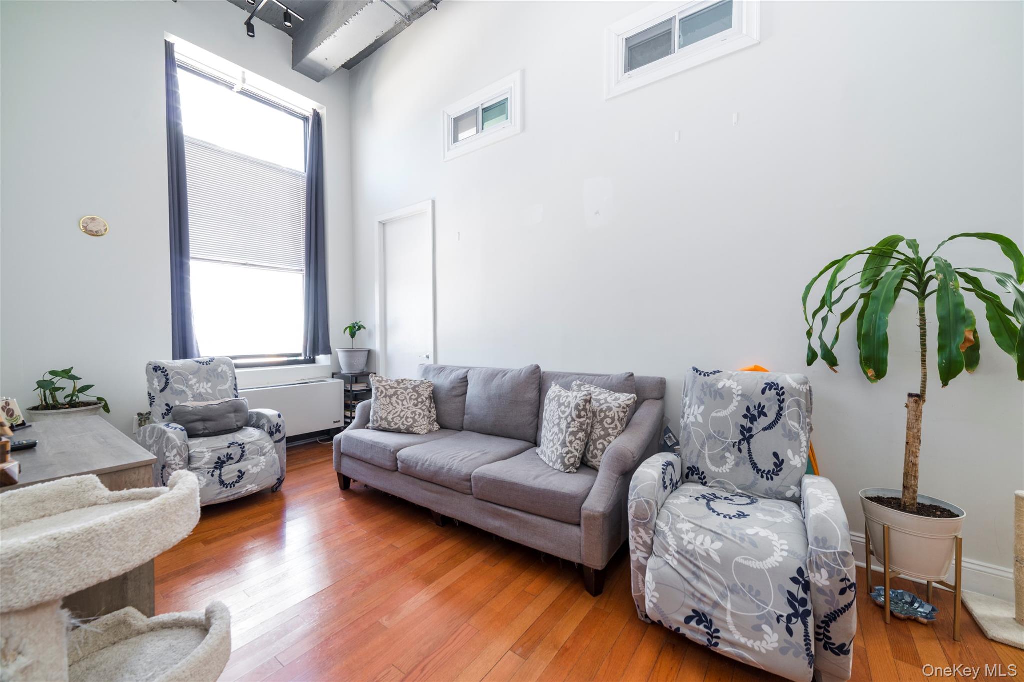 25 Leroy Place, Unit 501 photo 4