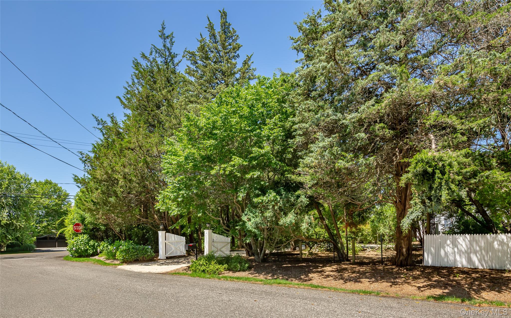 14 Rose Hill Road – For Rent photo 39