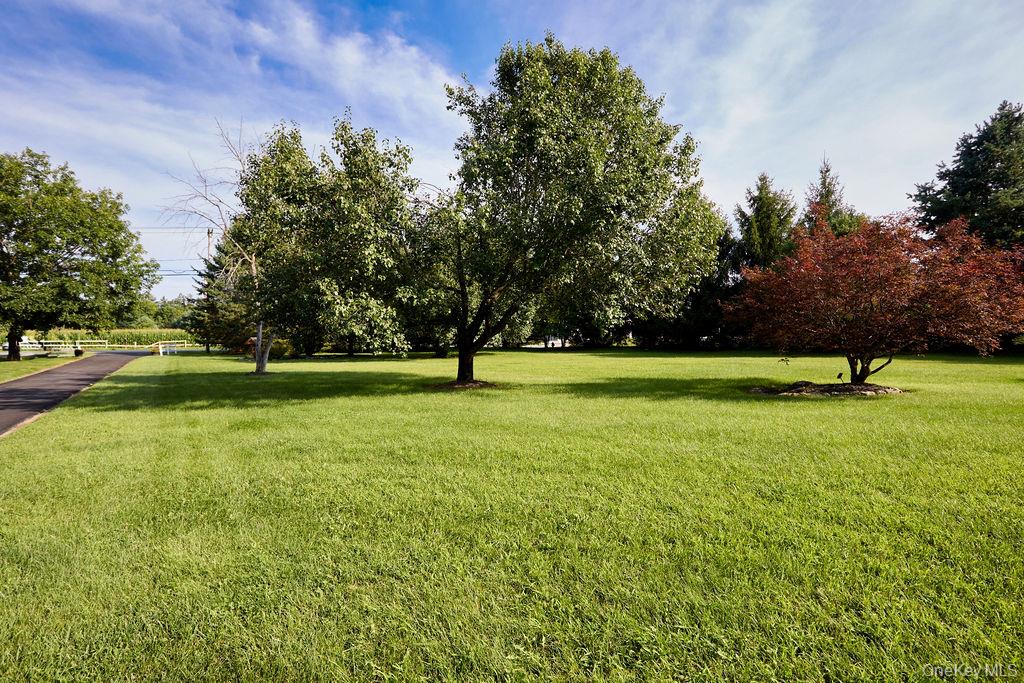 274 Robinson Lane – For Sale photo 31