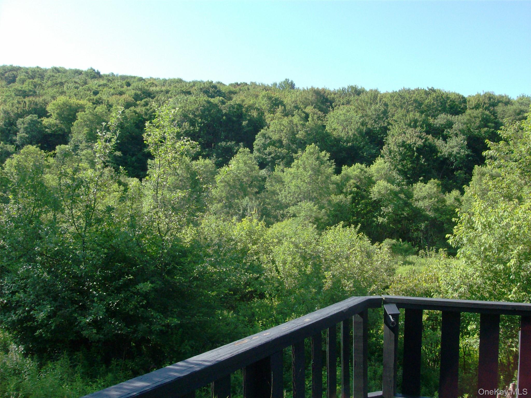 5176 Campbell Brook Road – For Sale photo 41