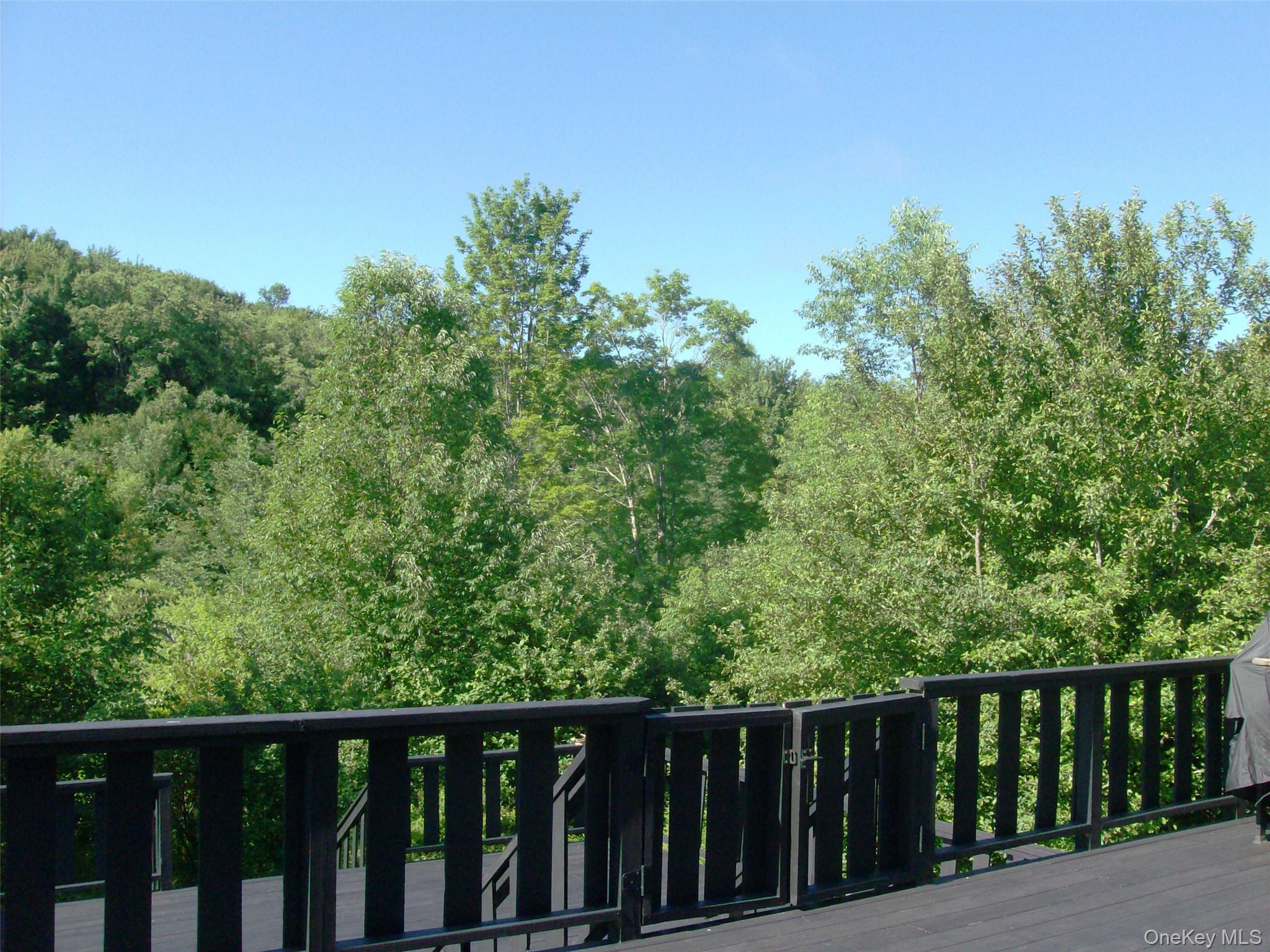 5176 Campbell Brook Road – For Sale photo 42
