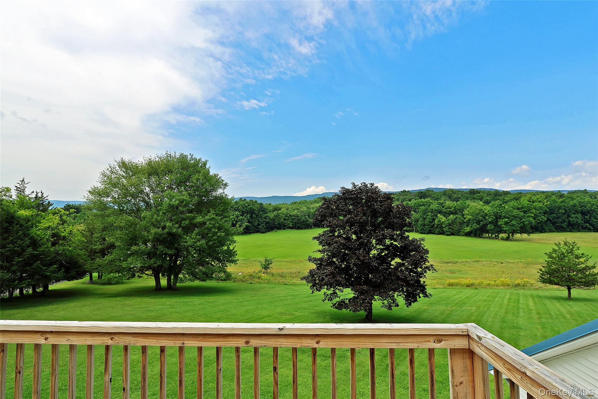 4 Low Road – For Sale photo 5
