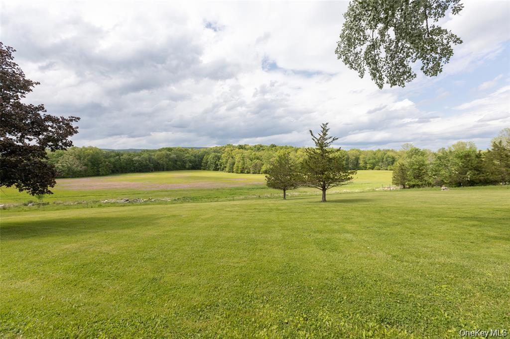 4 Low Road – For Sale photo 43