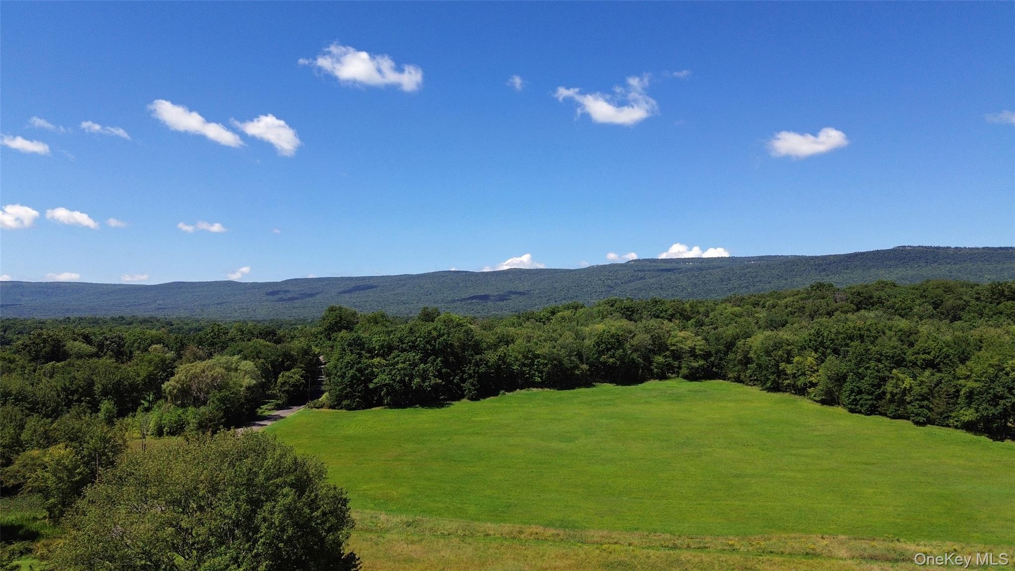4 Low Road – For Sale photo 44