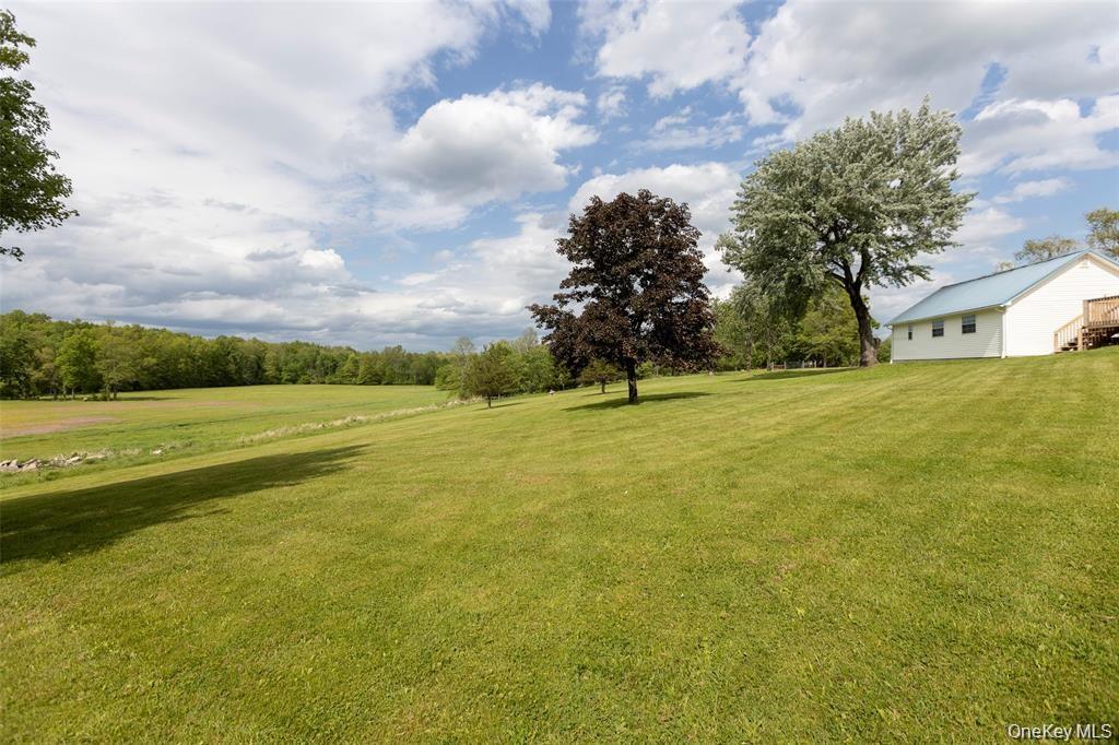 4 Low Road – For Sale photo 30