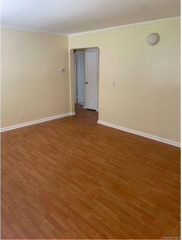 64 Stuart Avenue – For Rent photo 10