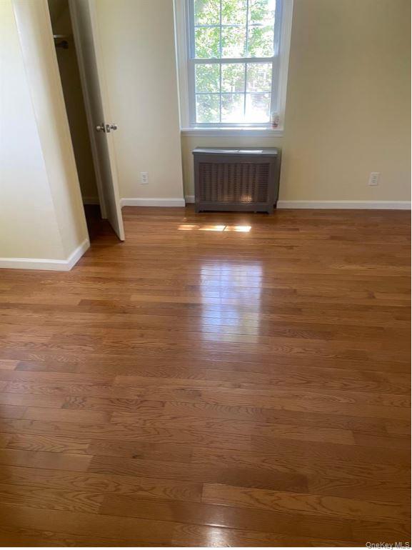 64 Stuart Avenue – For Rent photo 7