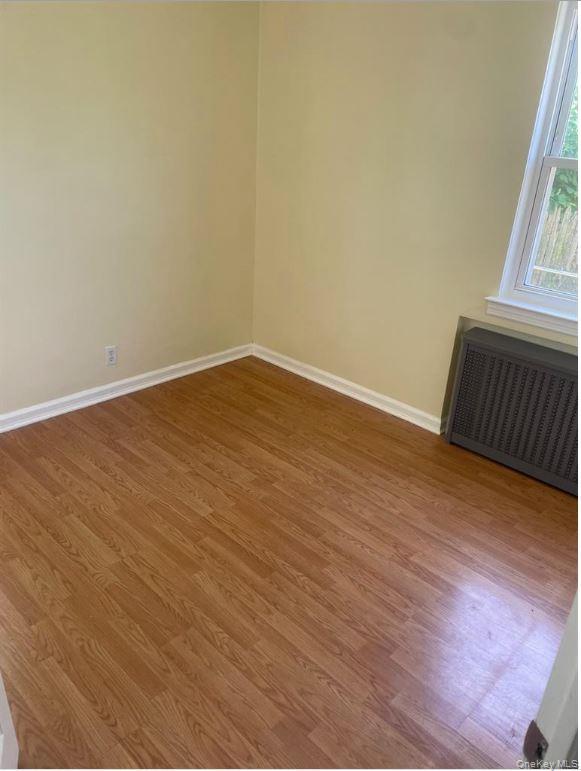 64 Stuart Avenue – For Rent photo 3