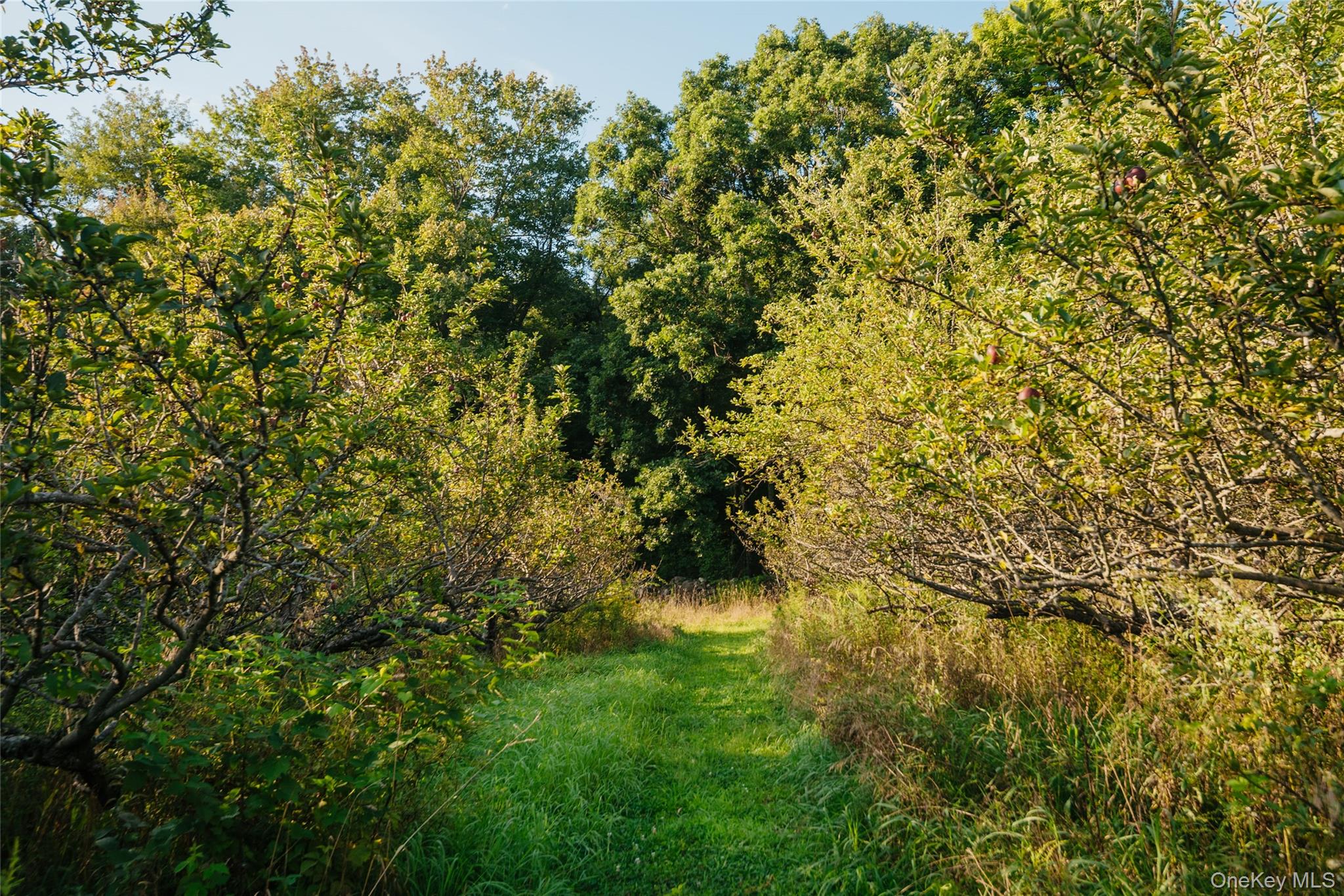 Fosler Road – For Sale photo 4