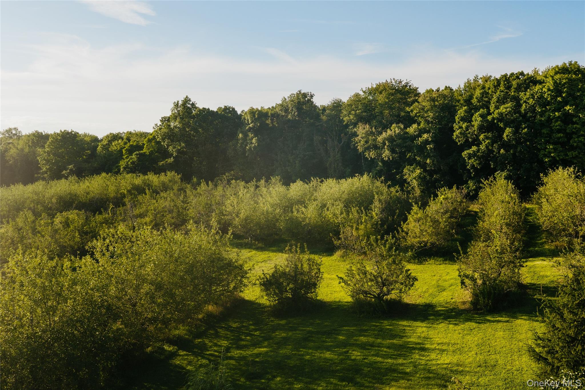 Fosler Road – For Sale photo 3