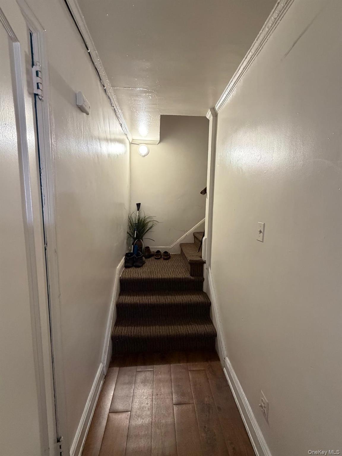 134 Stuart Avenue – For Rent photo 4