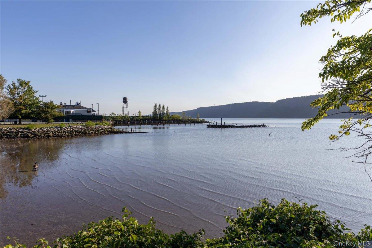 264 Farragut Parkway, Unit LOT B photo 6