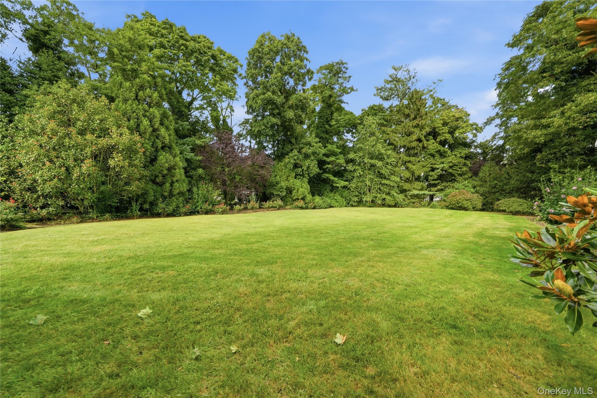 129 Bayview Avenue – For Sale photo 44